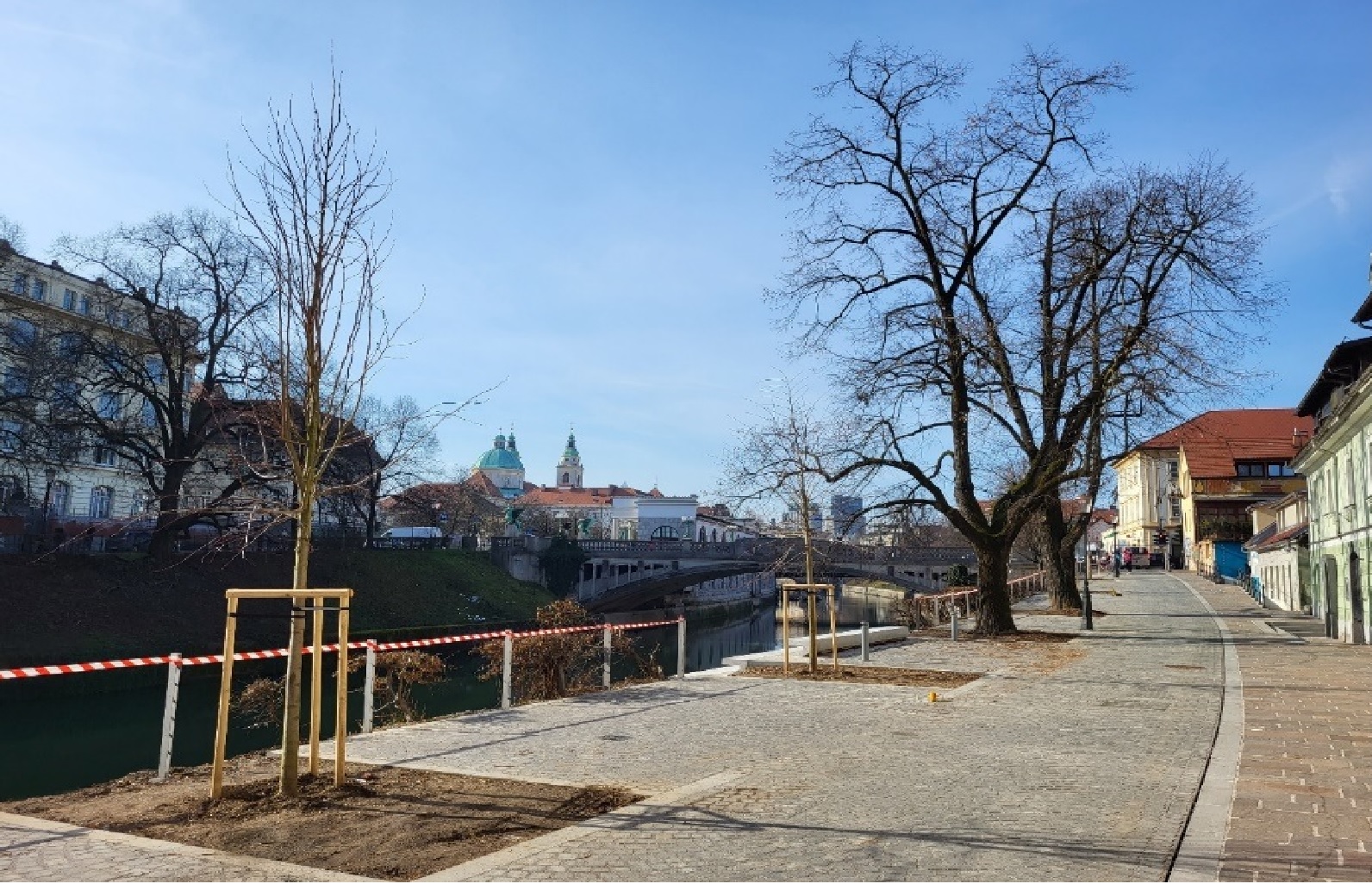 drevesa petkovškovo