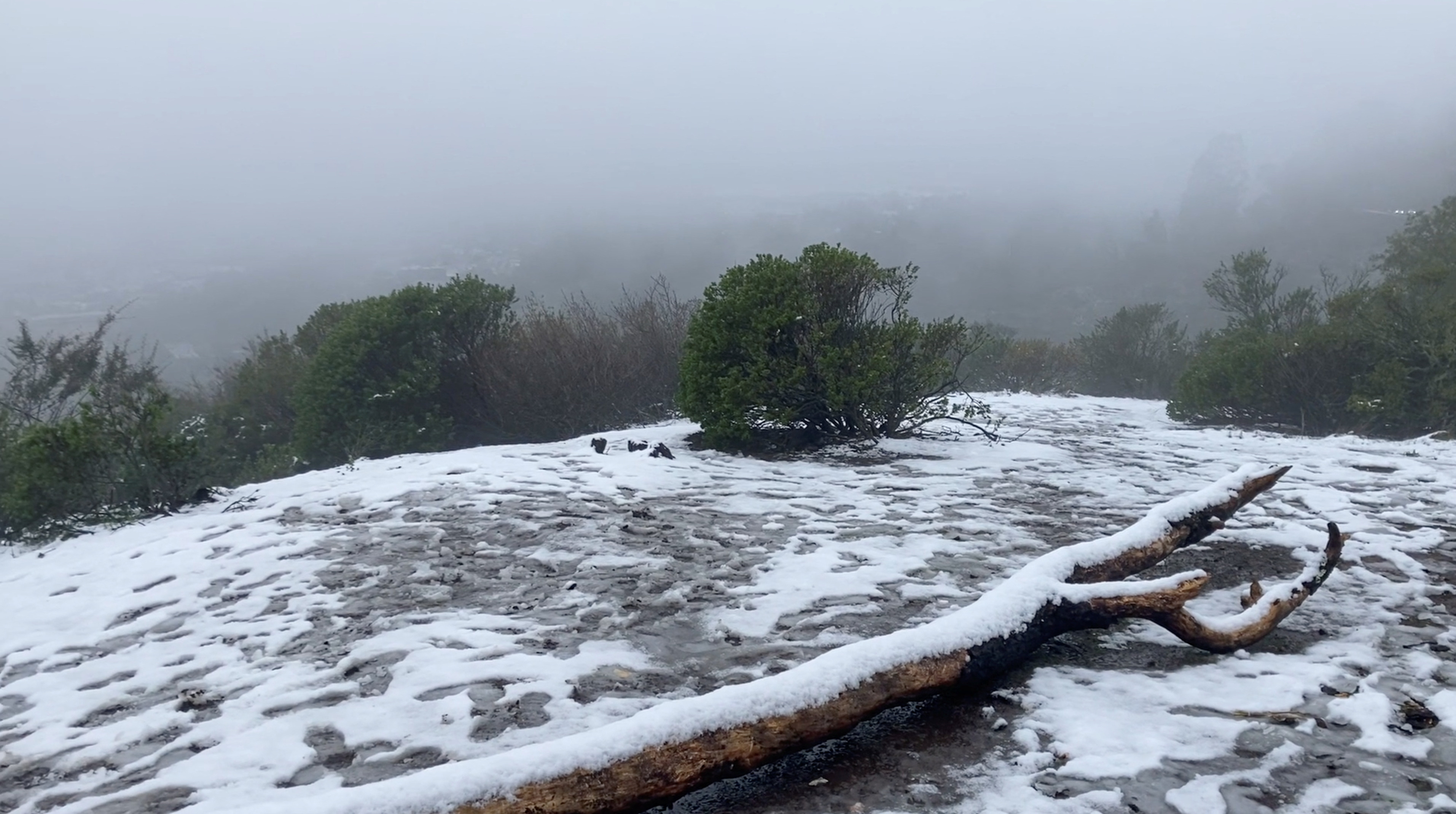 kalifornija, zda, sneg