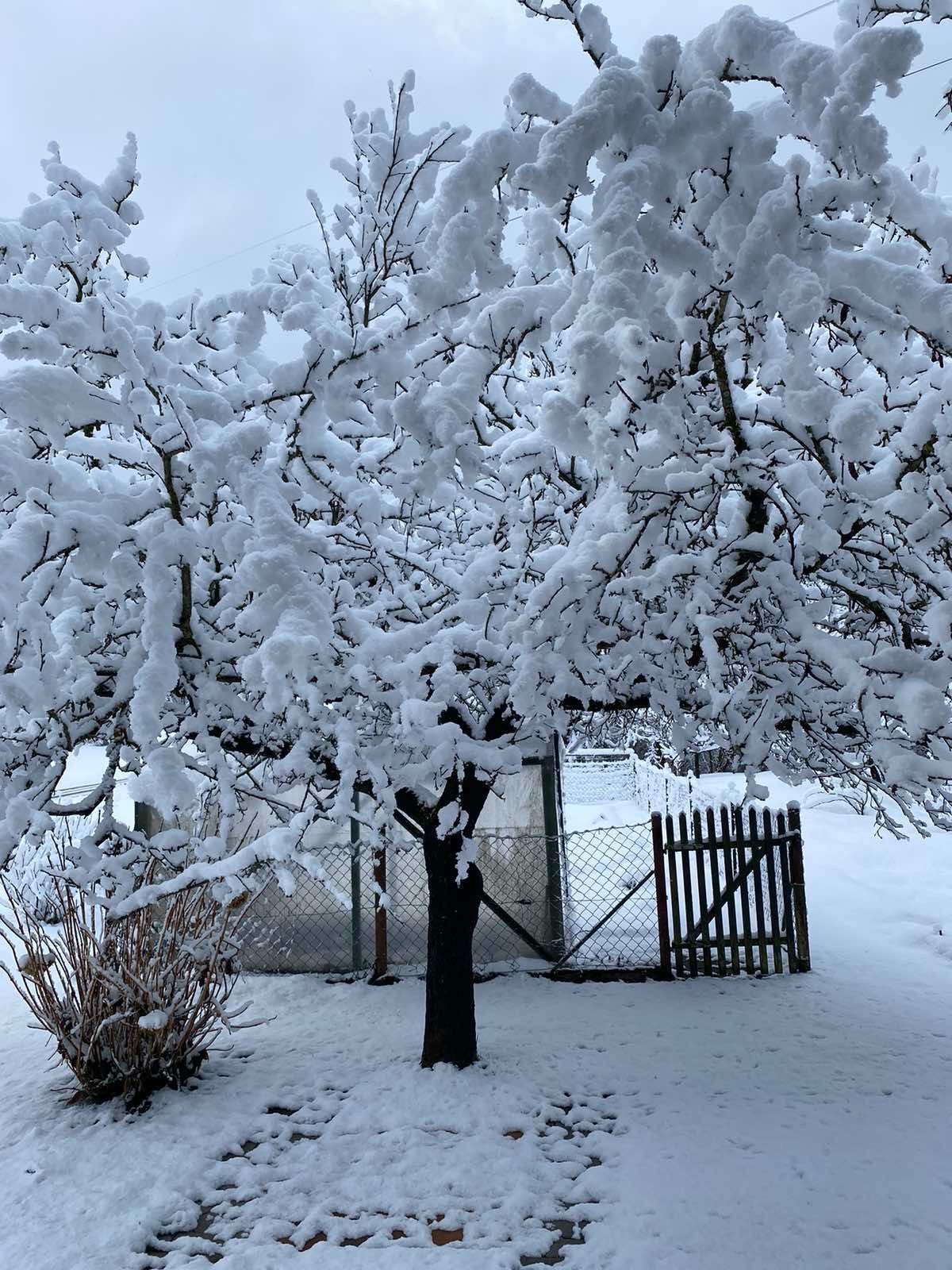 Podgora, Kotlje. Foto: N1