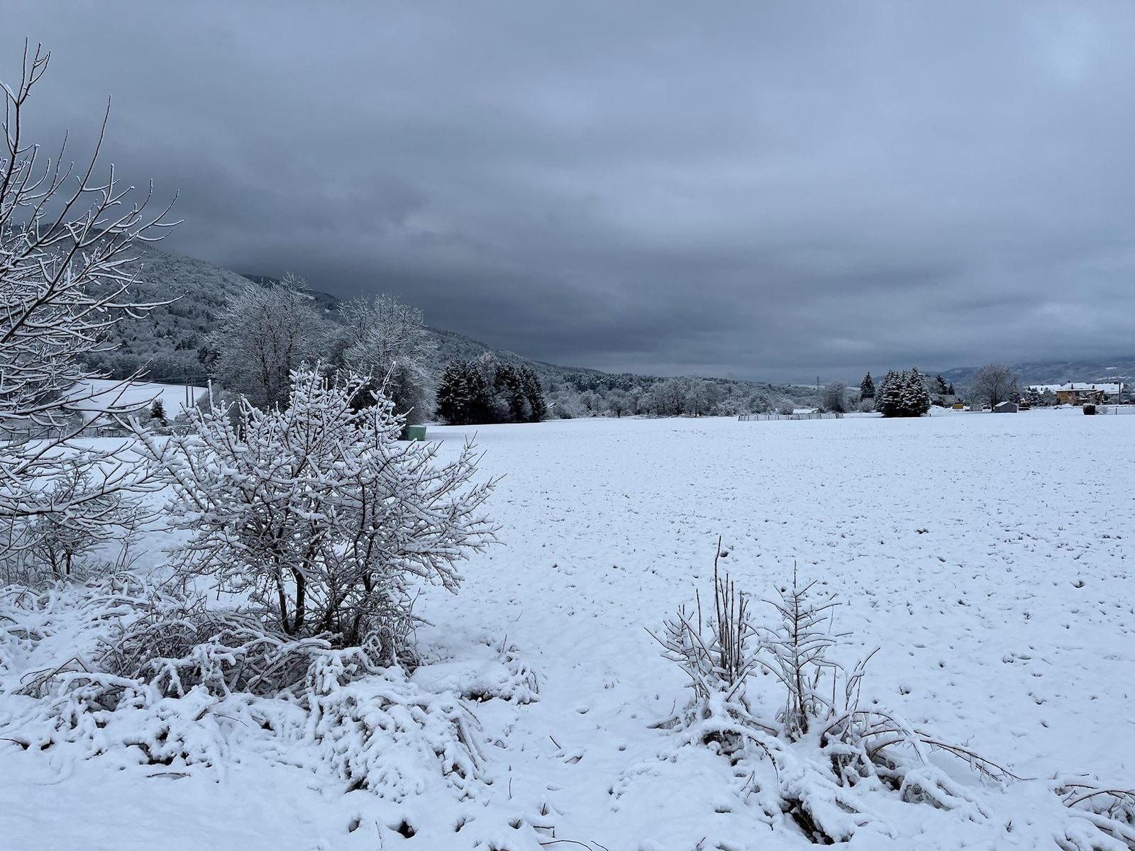 maribor,sneg,trg,zima,mraz,hladno