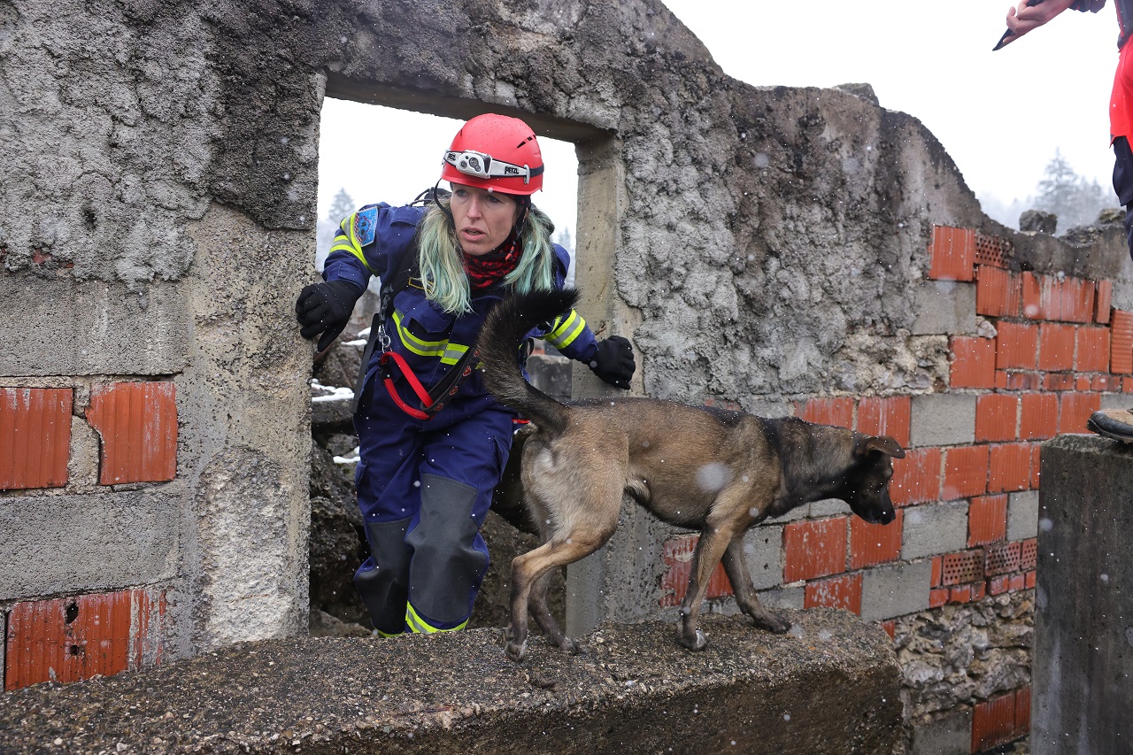 Luka Dakskobler / Bobo