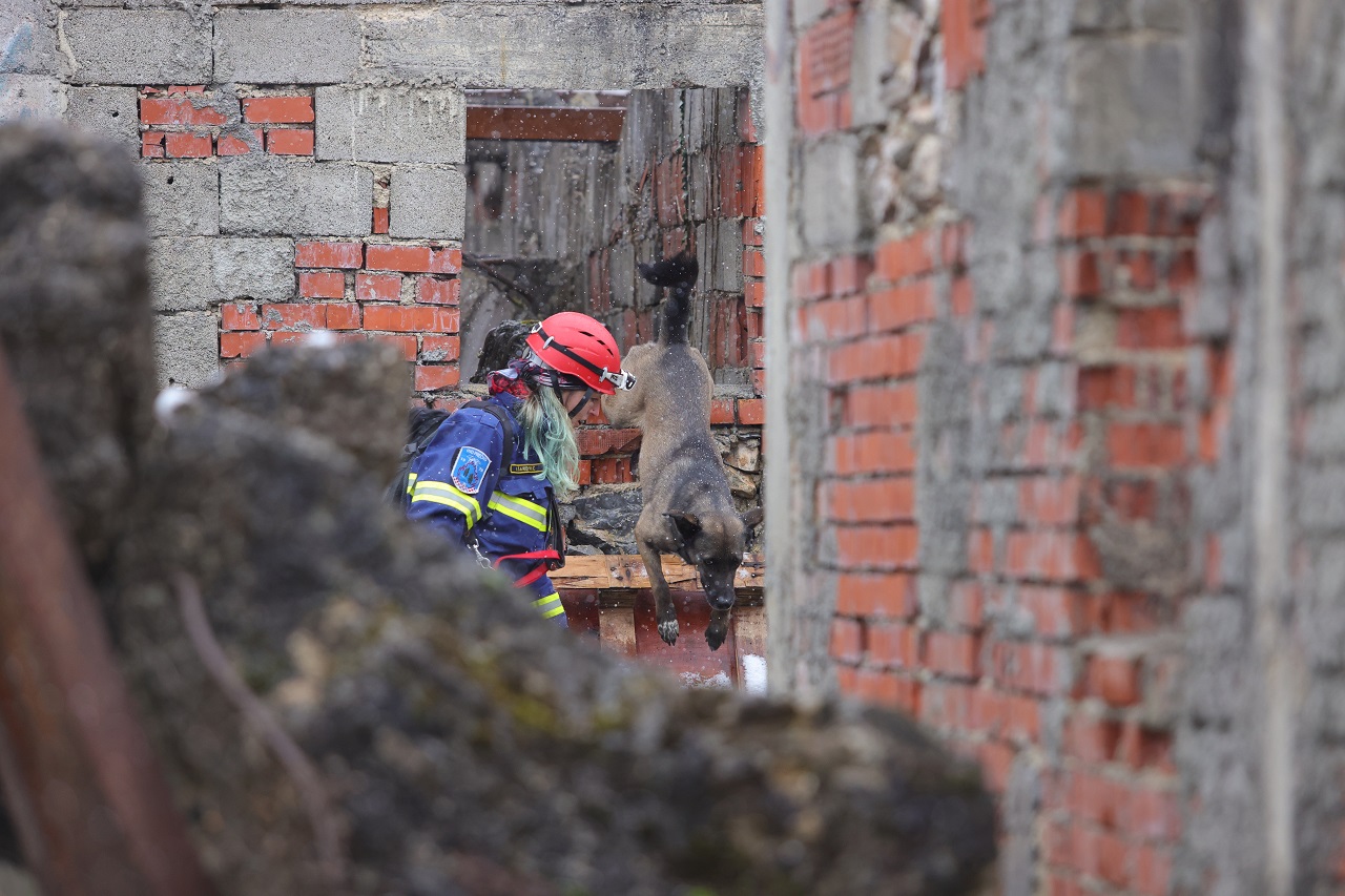 Luka Dakskobler / Bobo