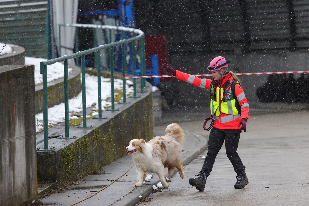 Luka Dakskobler / Bobo
