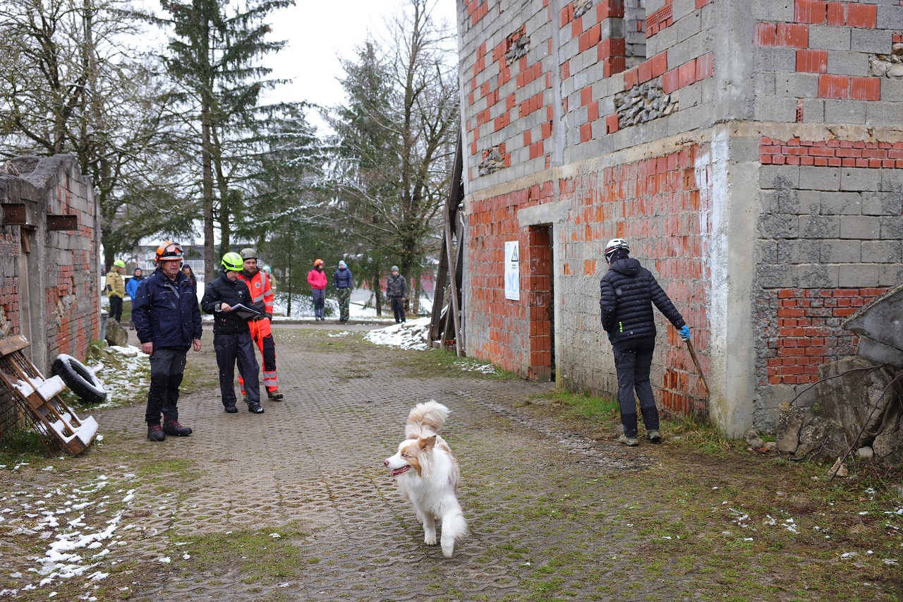 Luka Dakskobler / Bobo
