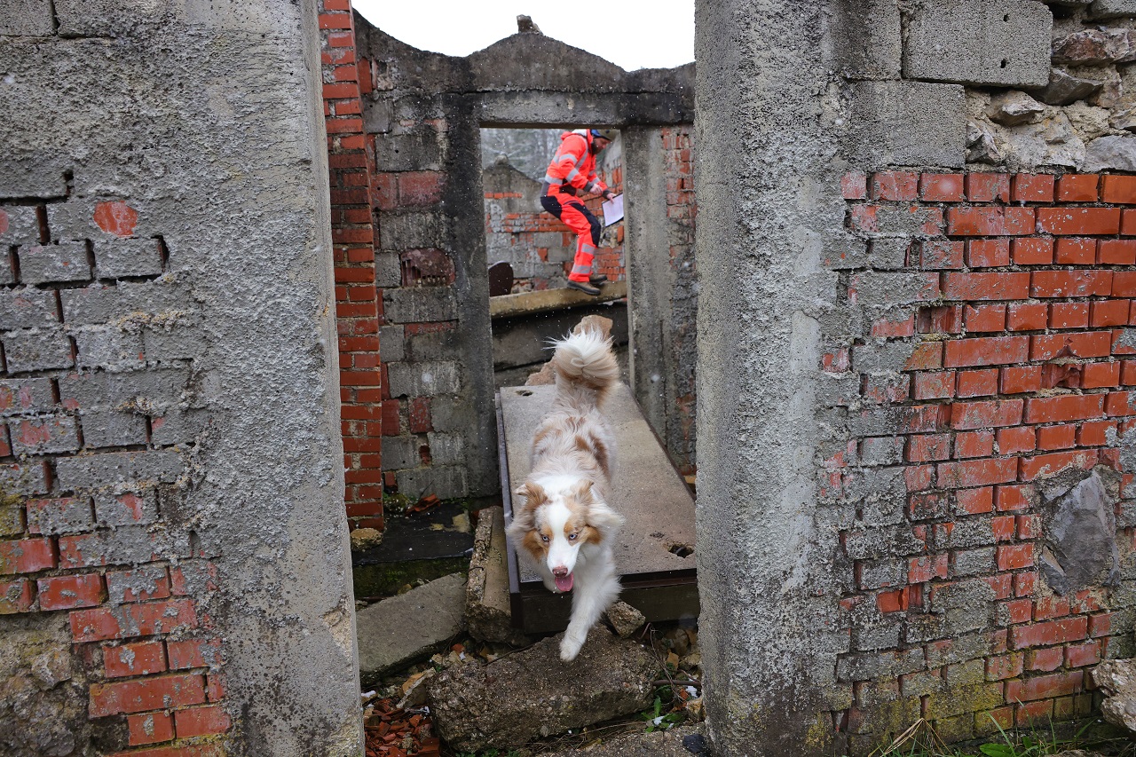 Luka Dakskobler / Bobo