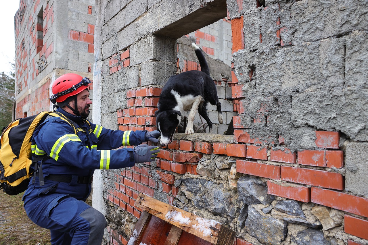 Luka Dakskobler / Bobo