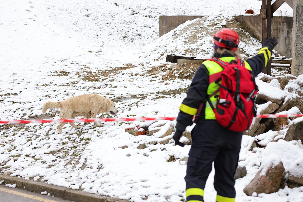 Luka Dakskobler / Bobo