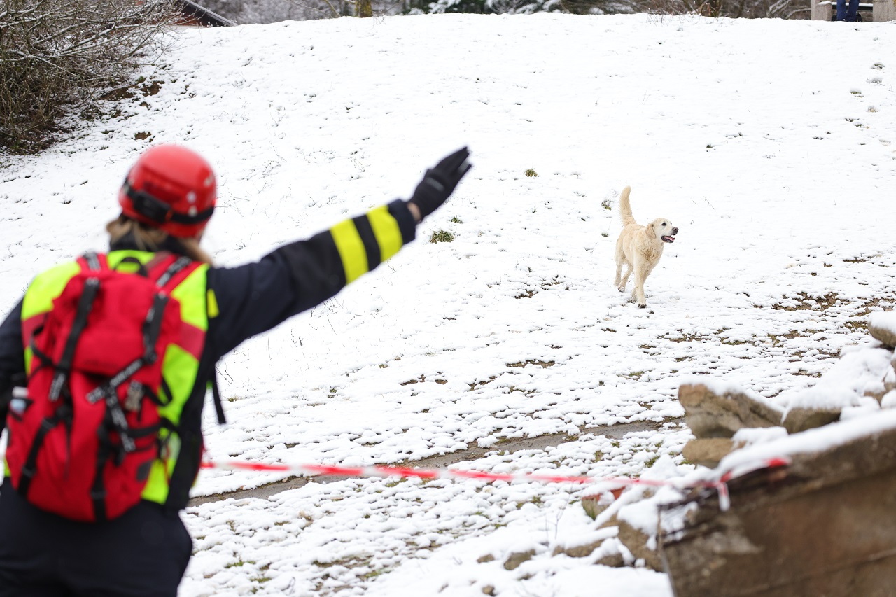 Luka Dakskobler / Bobo