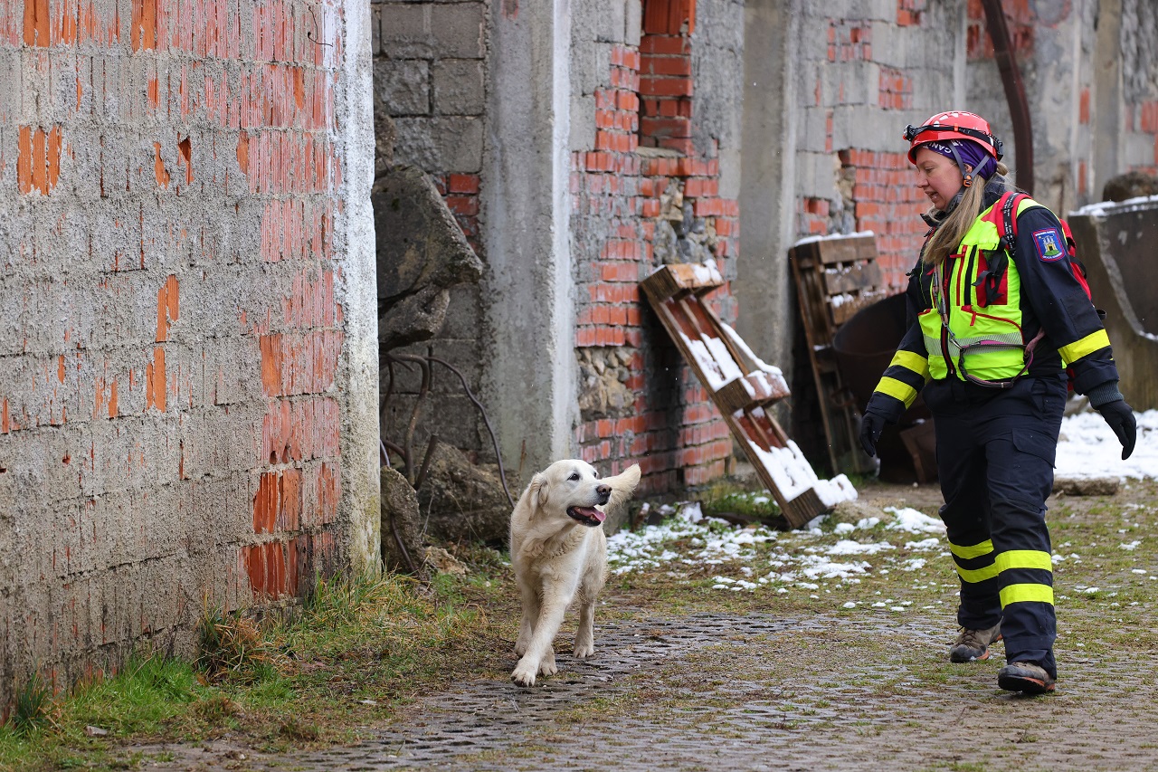 Luka Dakskobler / Bobo