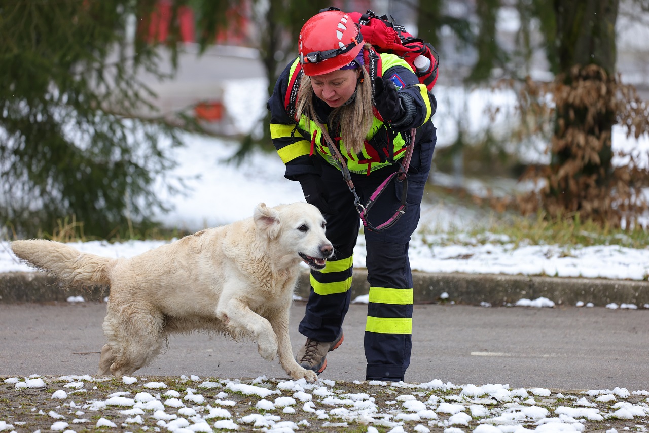 Luka Dakskobler / Bobo