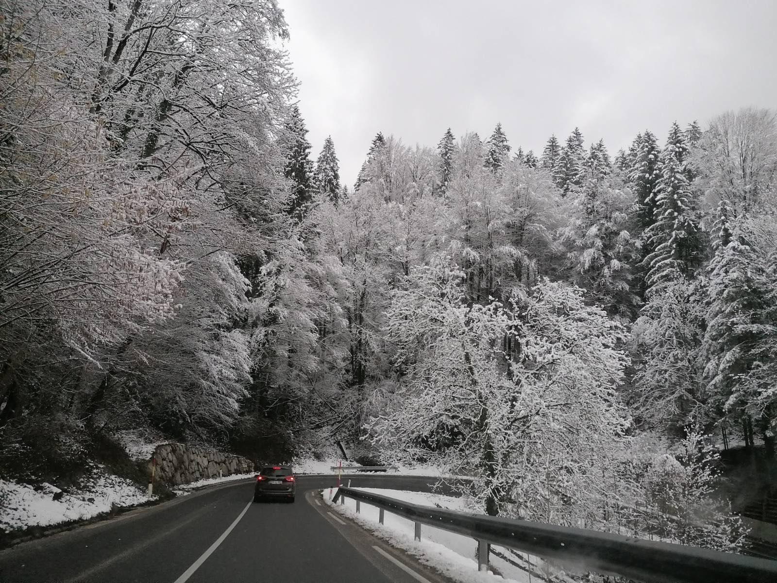 signal-2023-02-26-160625