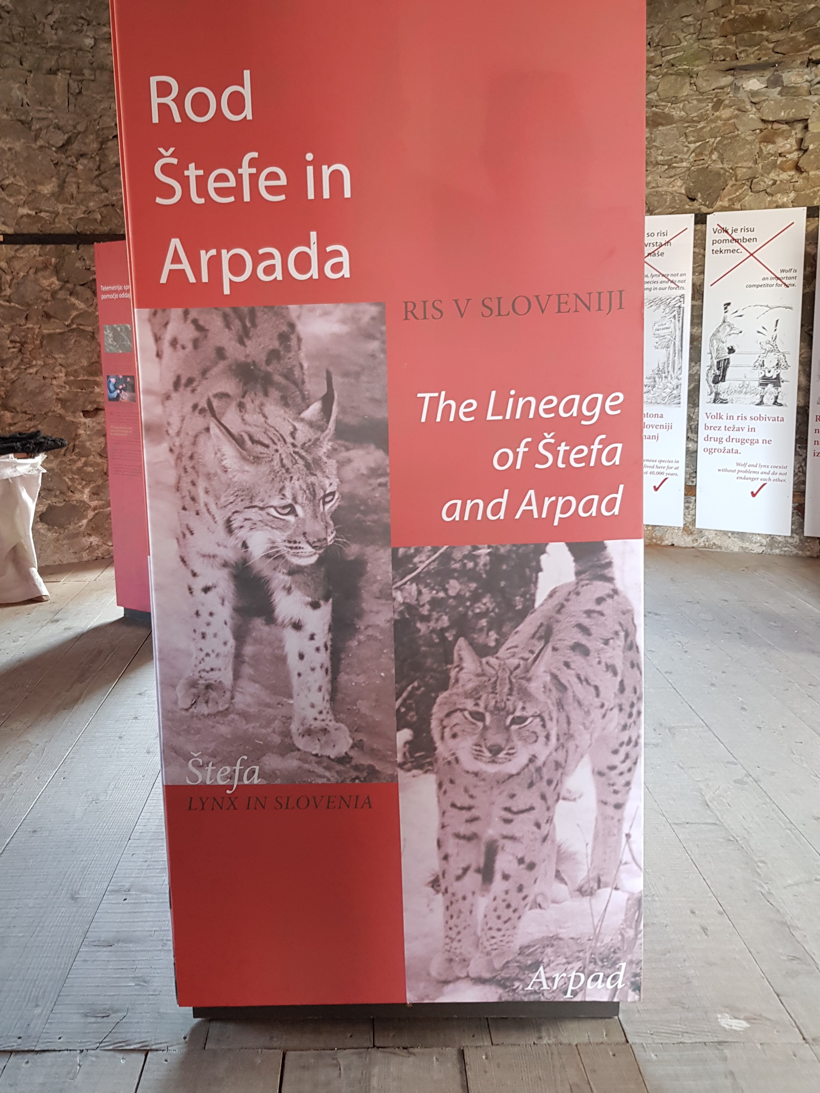 Razstava o naselitvi risov leta 1973 je na ogled v gradu Žužemberk.