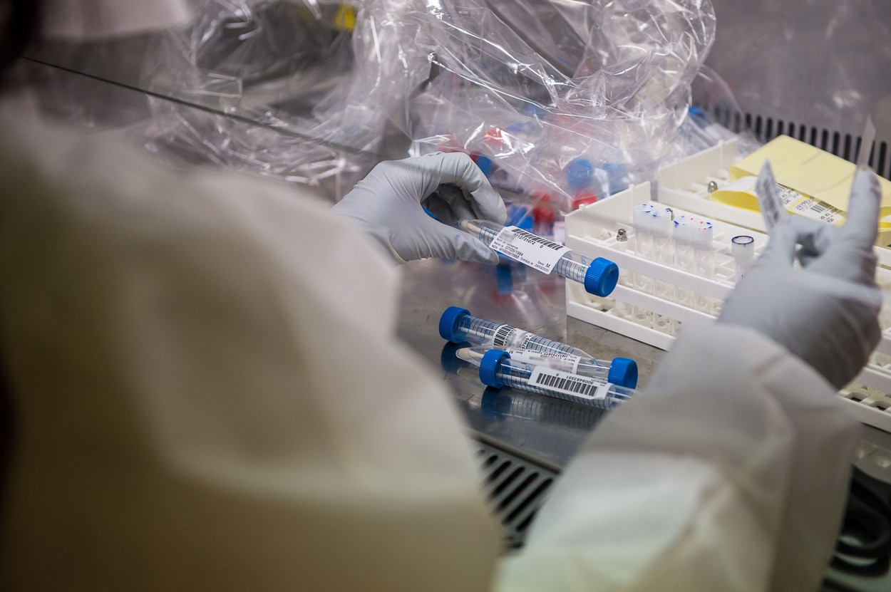 covid-19, koronavirus