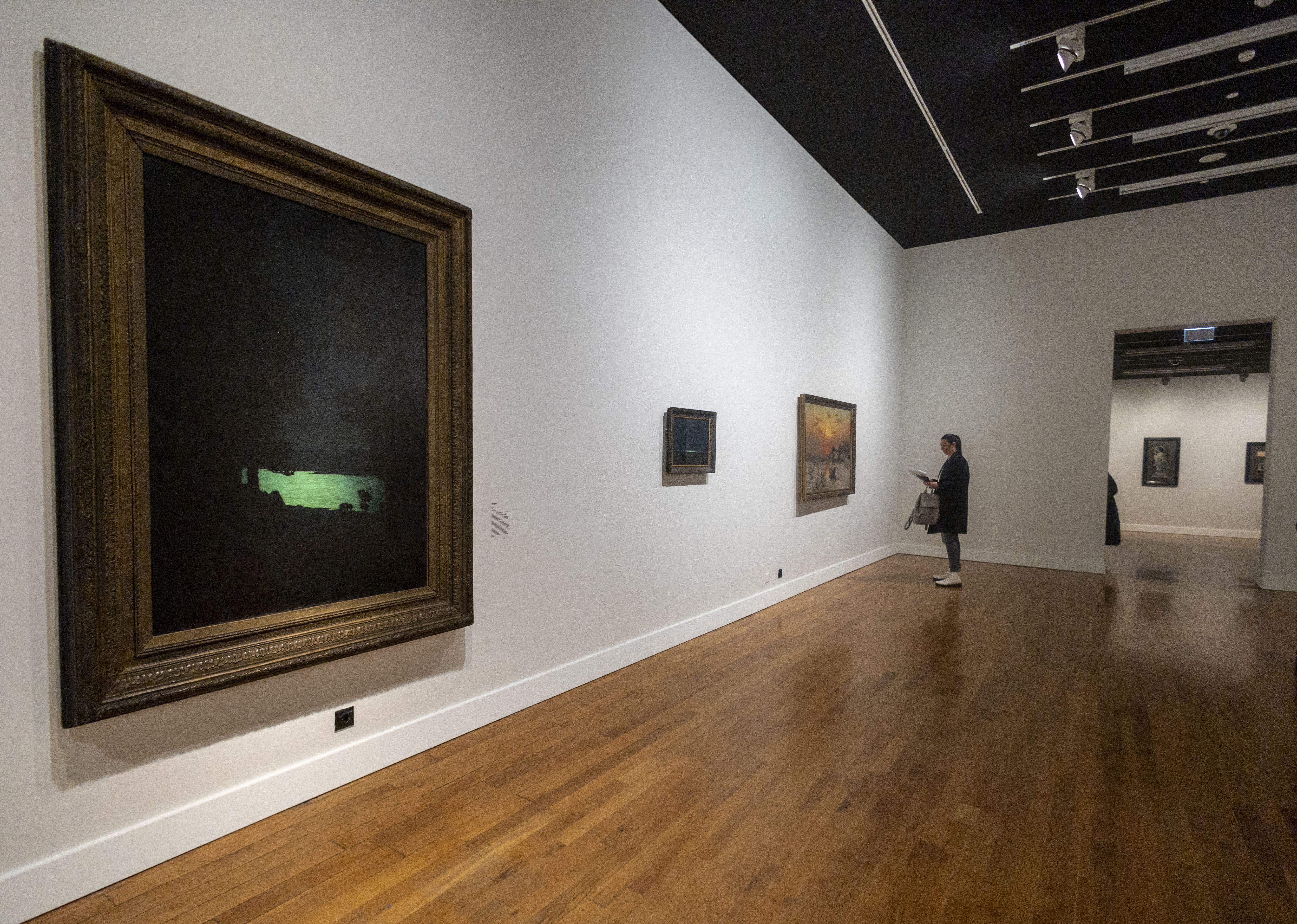 Ženeva, Ukrajina, umetnine