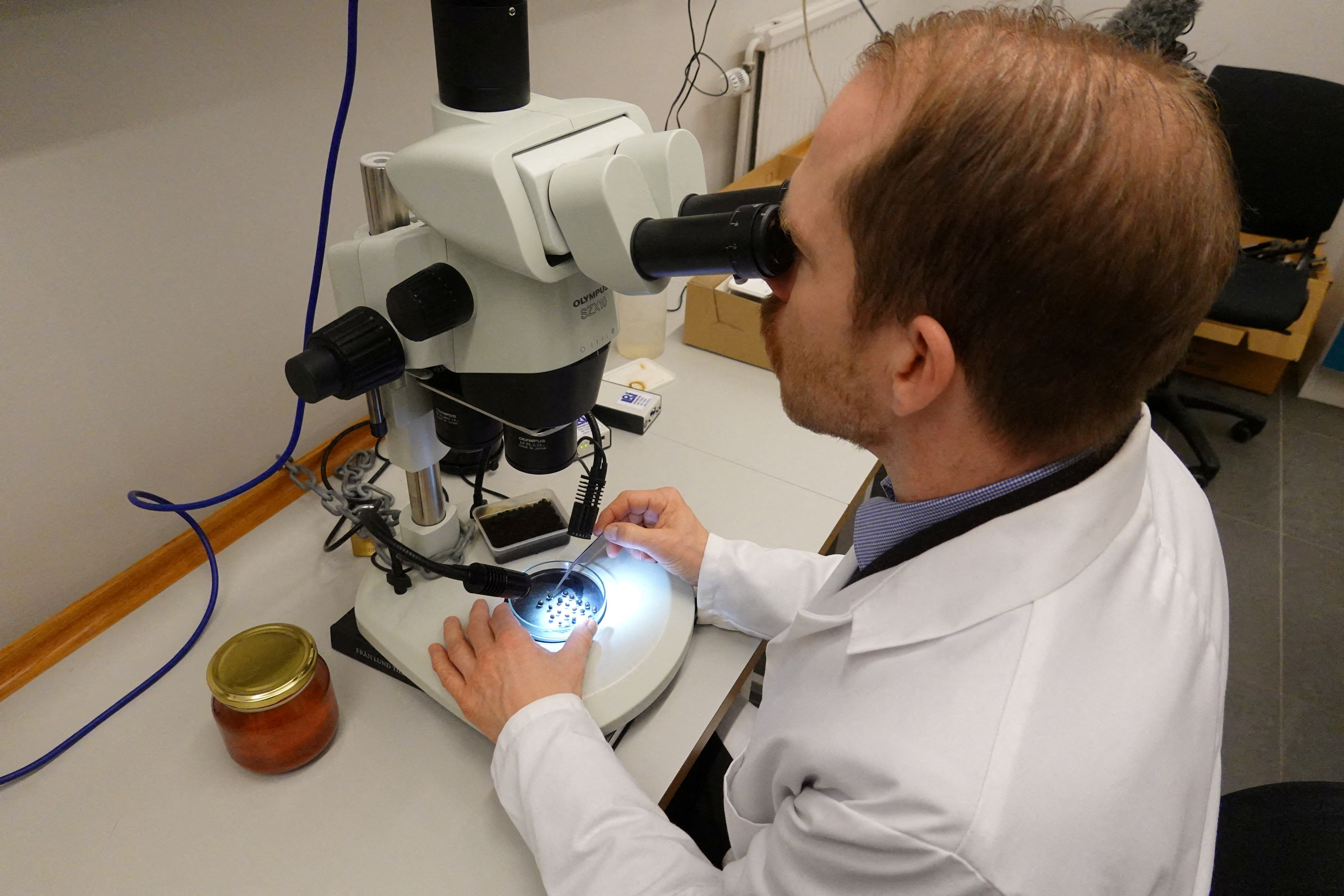 Archaeologists make 'extraordinary' find of 500-year-old spices on Baltic ship wreck