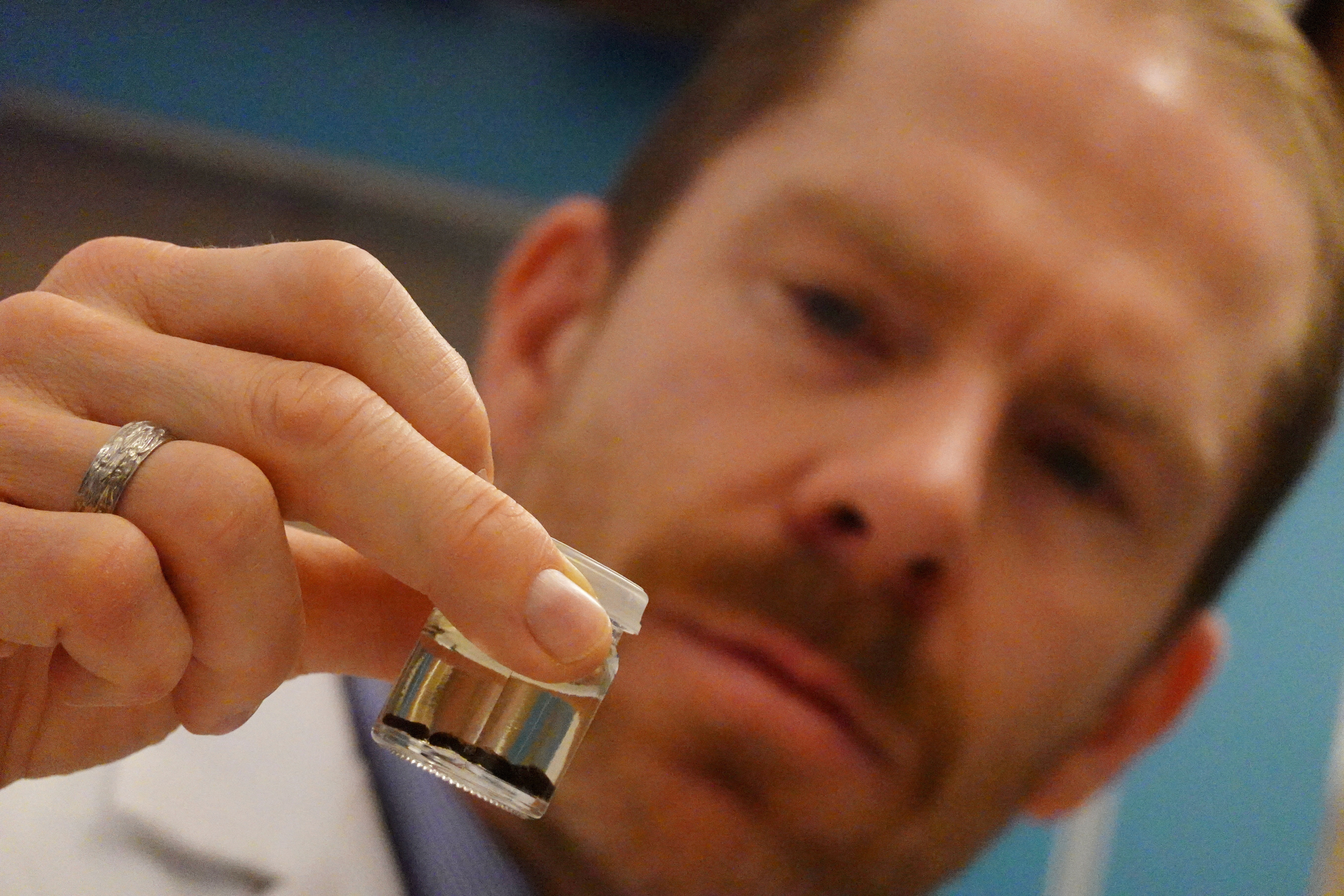 Archaeologists make 'extraordinary' find of 500-year-old spices on Baltic ship wreck