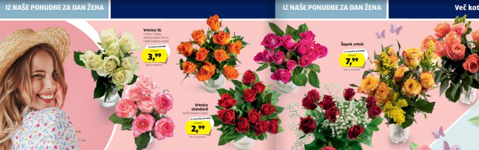 Hofer (Vir: zajem zaslona/hofer.si)