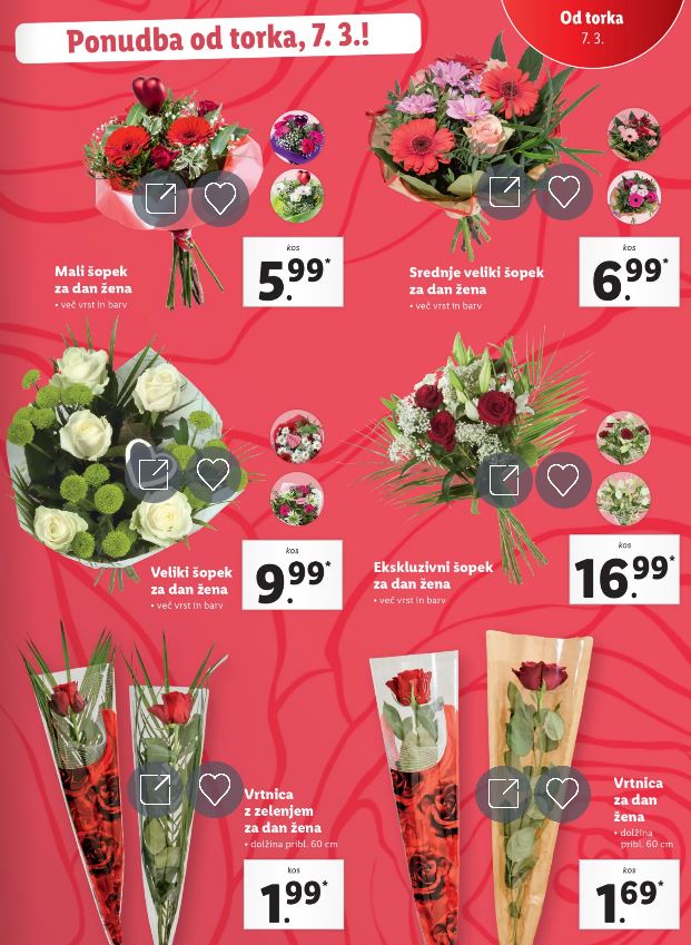 Lidl (Vir: zajem zaslona/lidl.si)