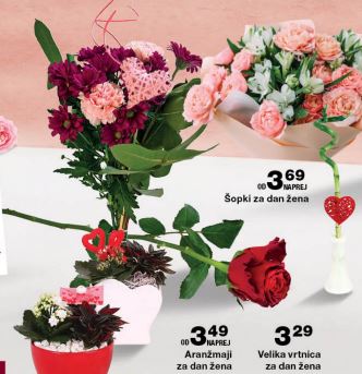 Mercator (Vir: zajem zaslona/mercator.si)