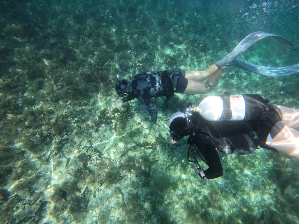 334339624_739954671019747_6646252384123674960_n