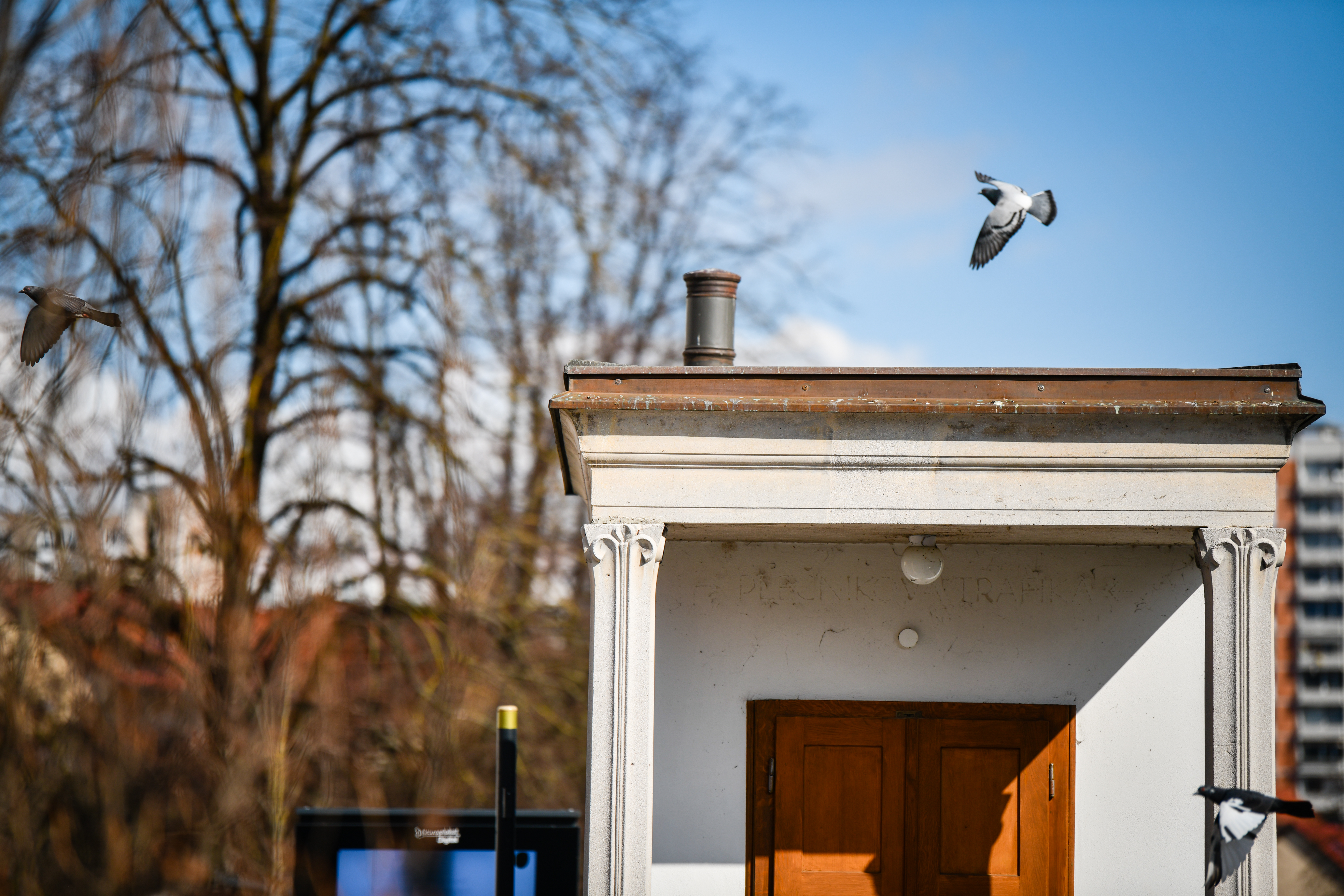 Plečnikov kiosk na levem bregu Ljubljanice.