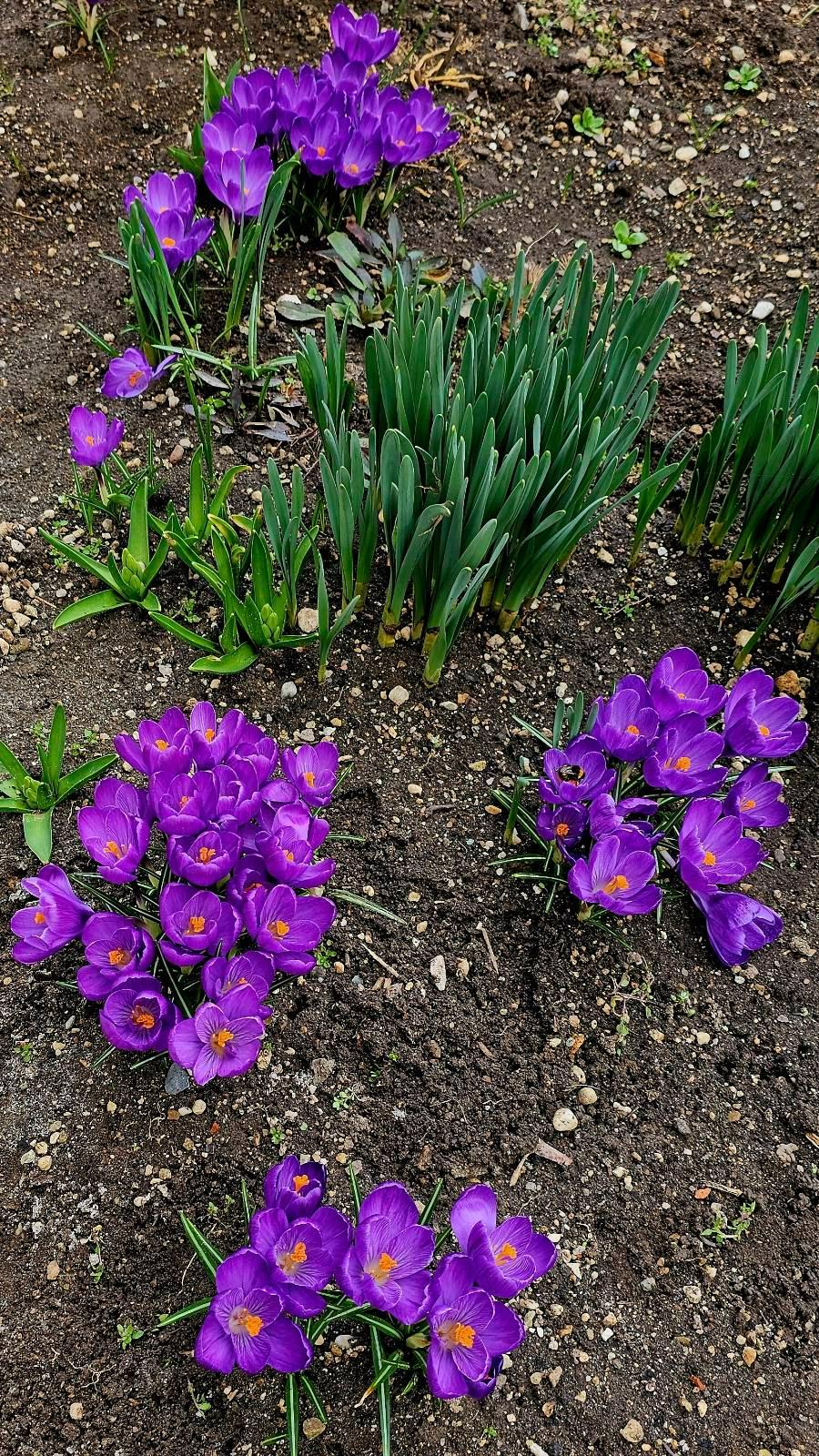 signal-2023-03-12-212039