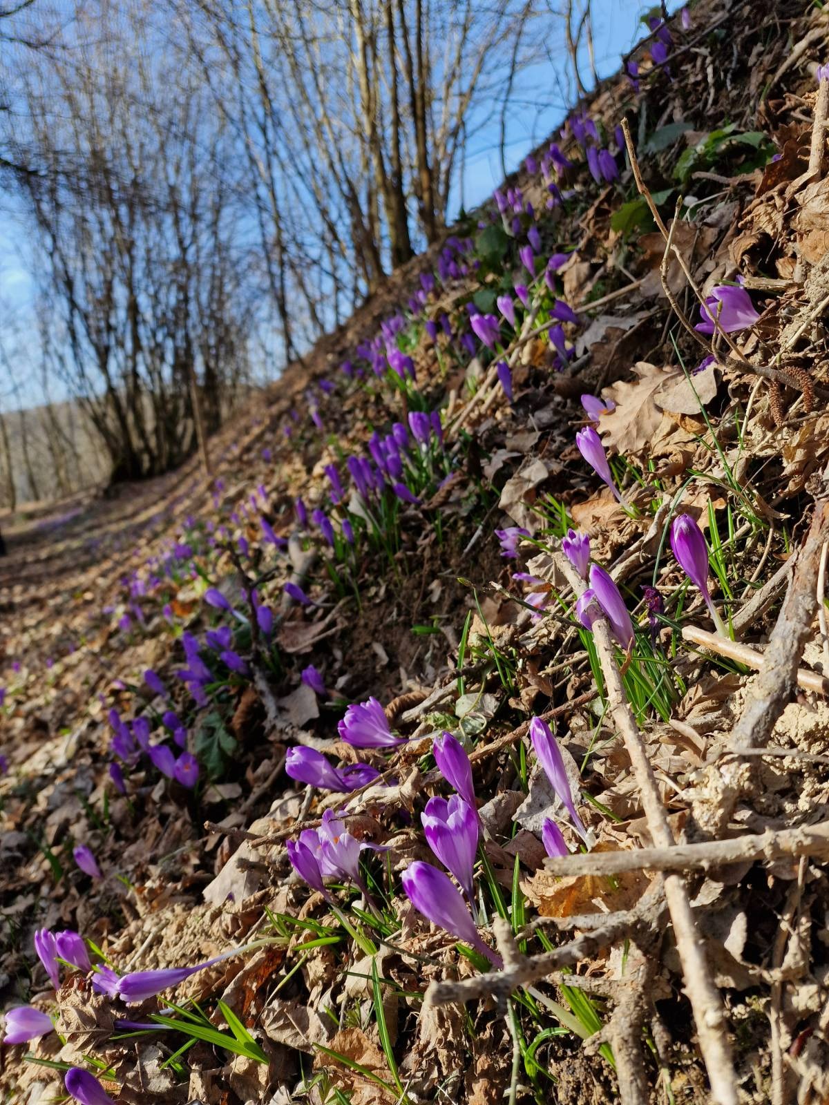 signal-2023-03-12-215105_005