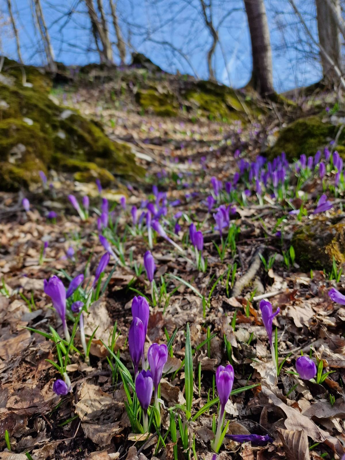 signal-2023-03-12-215105_004