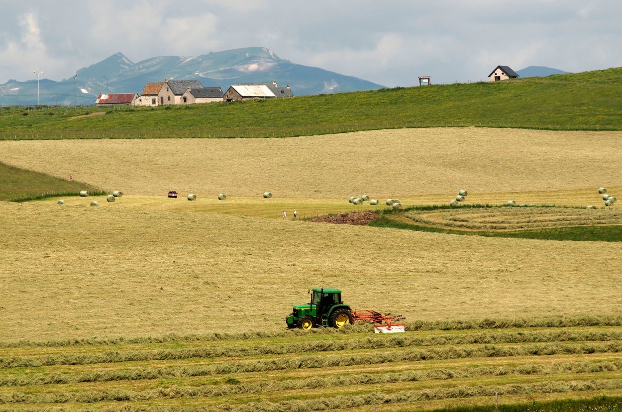 kmetovanje, kmet, traktor, njiva