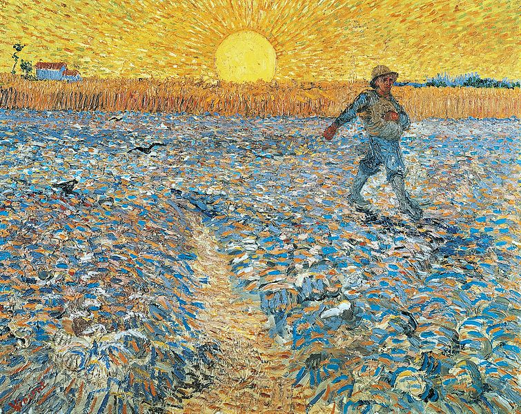 sejalec, van gogh
