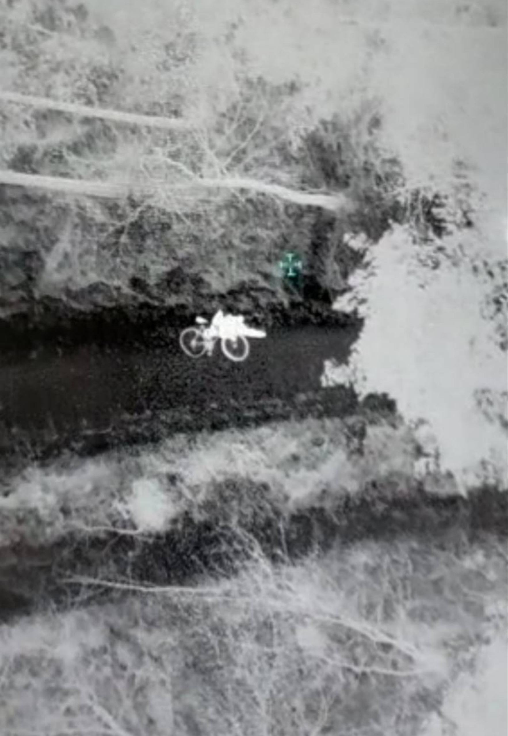 Požar Rožnik, požigalec