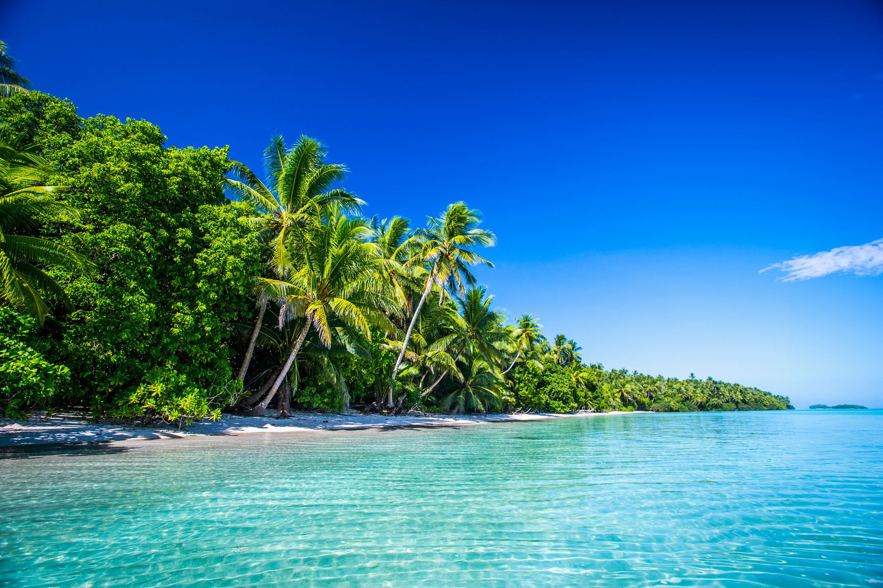 Tuvalu, otok, peščena plaža, palme