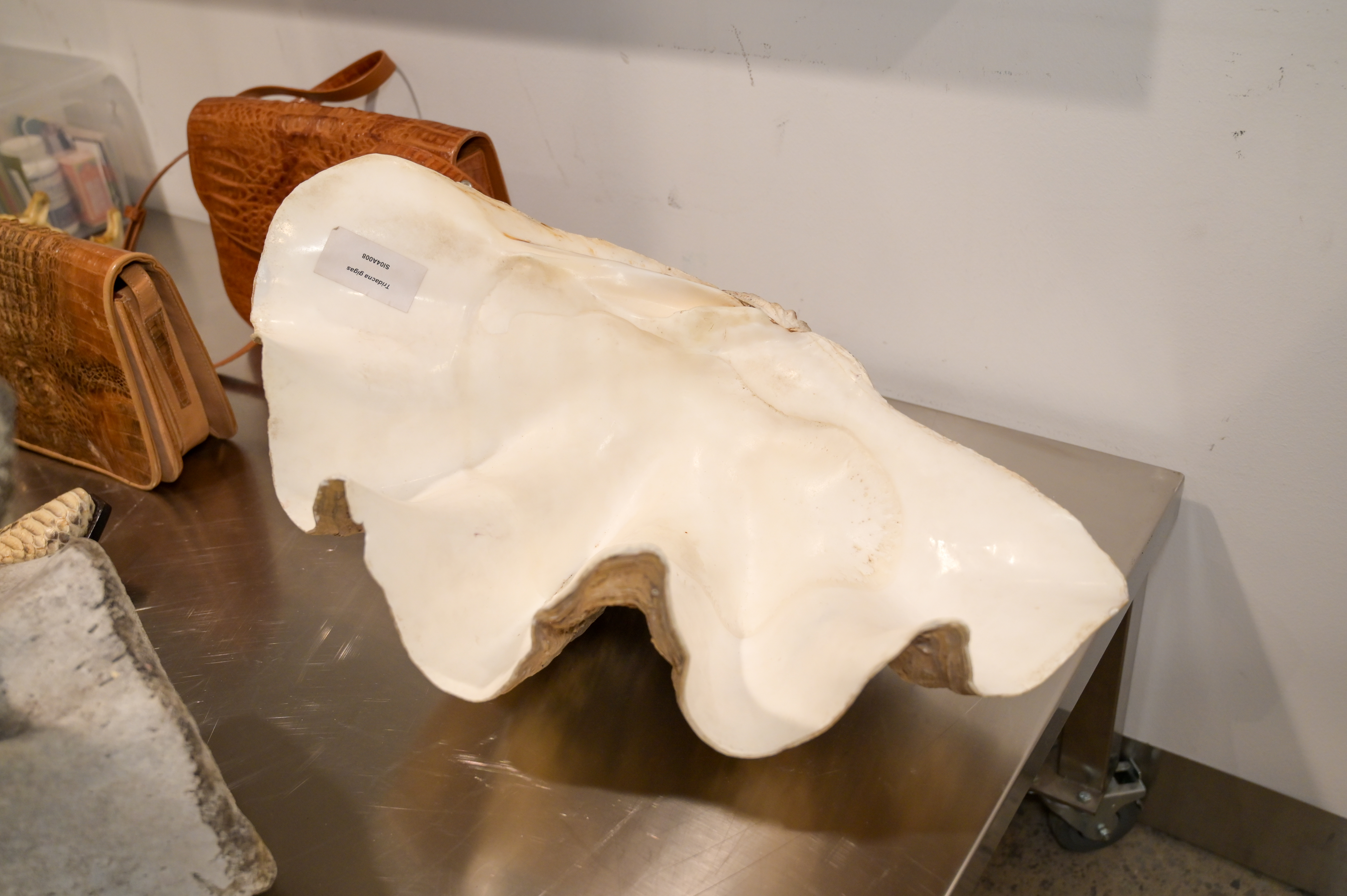 zaseženi predmeti na brniku