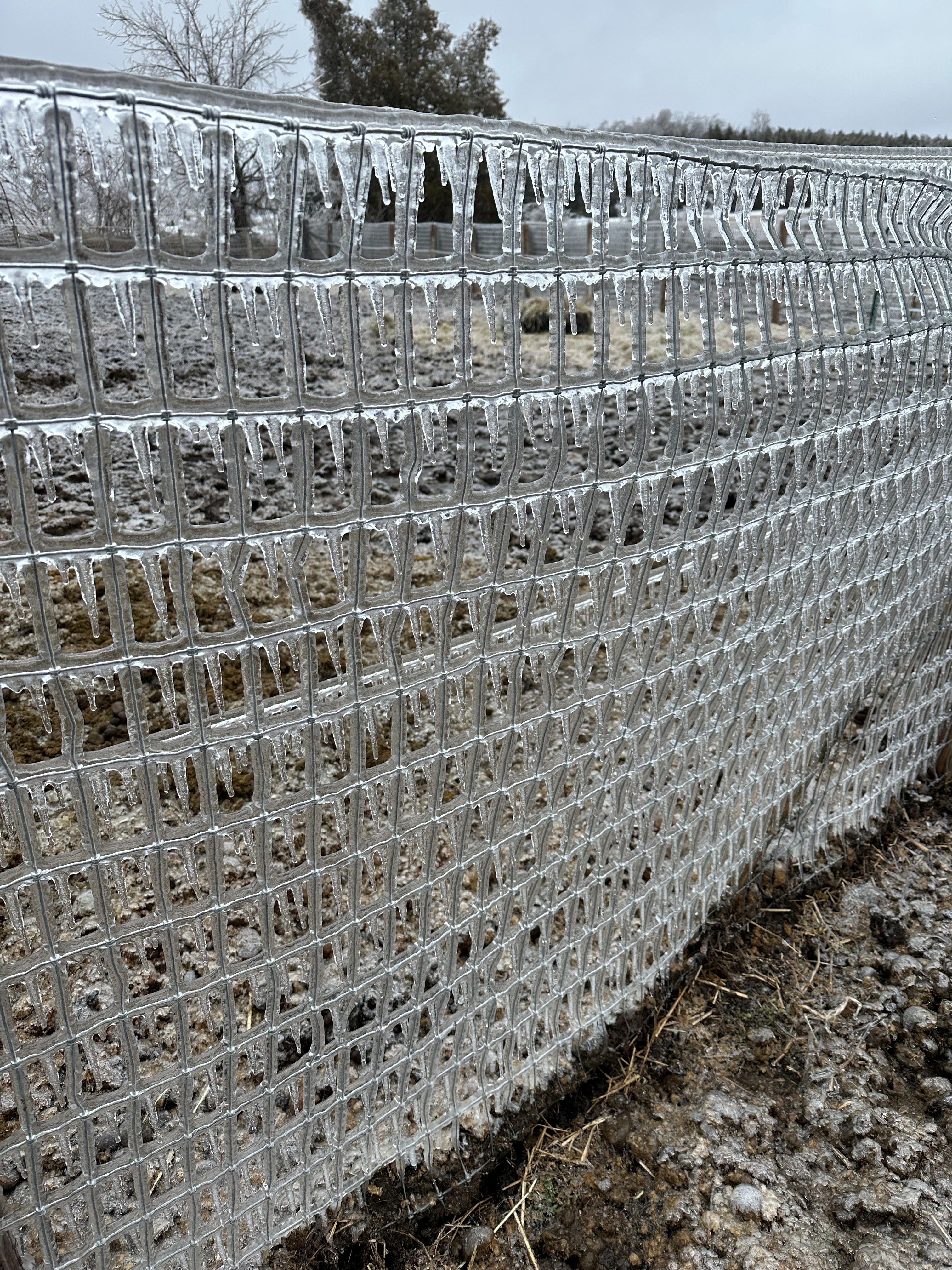 Natalie Rowe/REUTERS