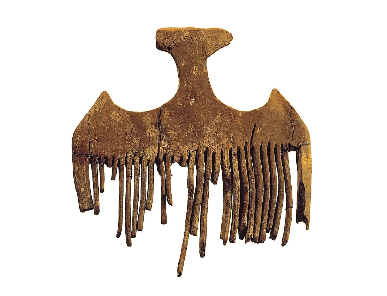 Najdba v jami na Menorci - droge