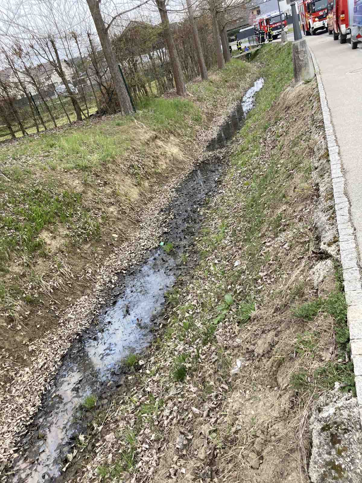 Intervencija v občini Komenda (Foto: PGD Moste)