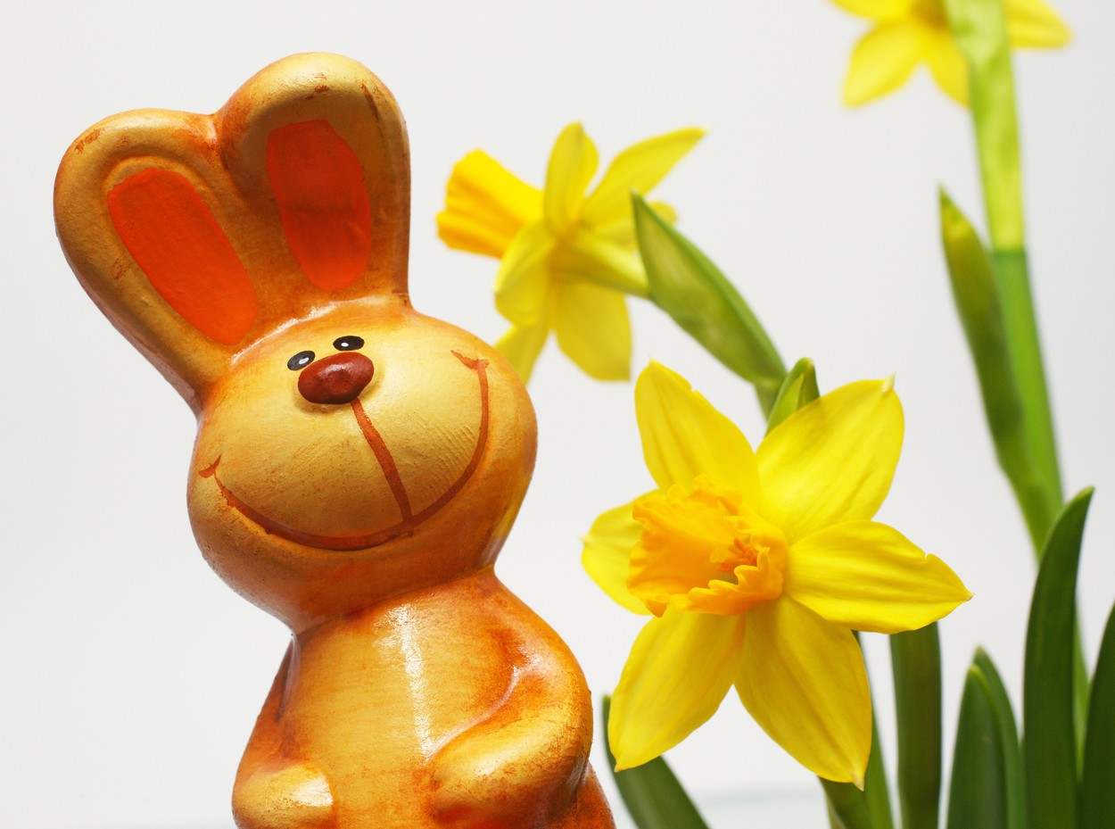 Easter Bunny with Flowers - Easter Bunny and Flowers