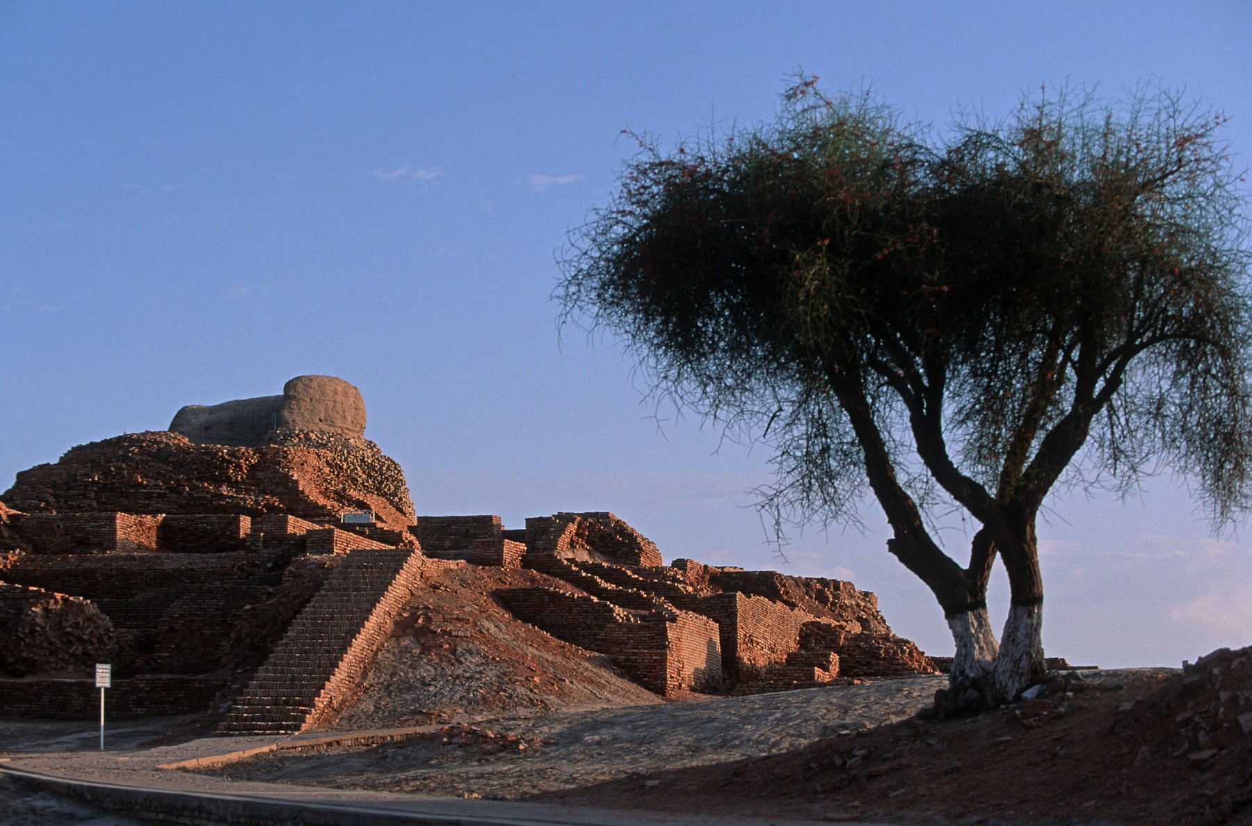Mohenjo Daro