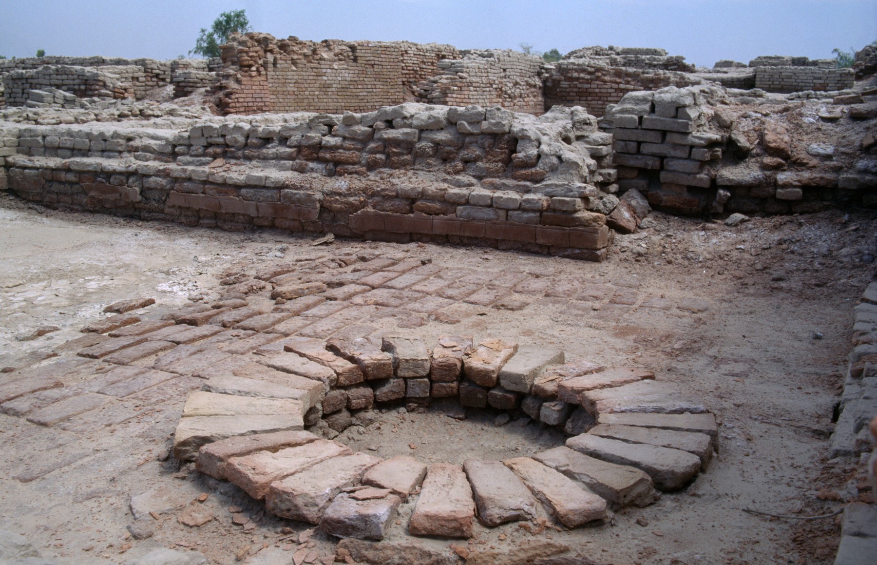 Mohenjo Daro