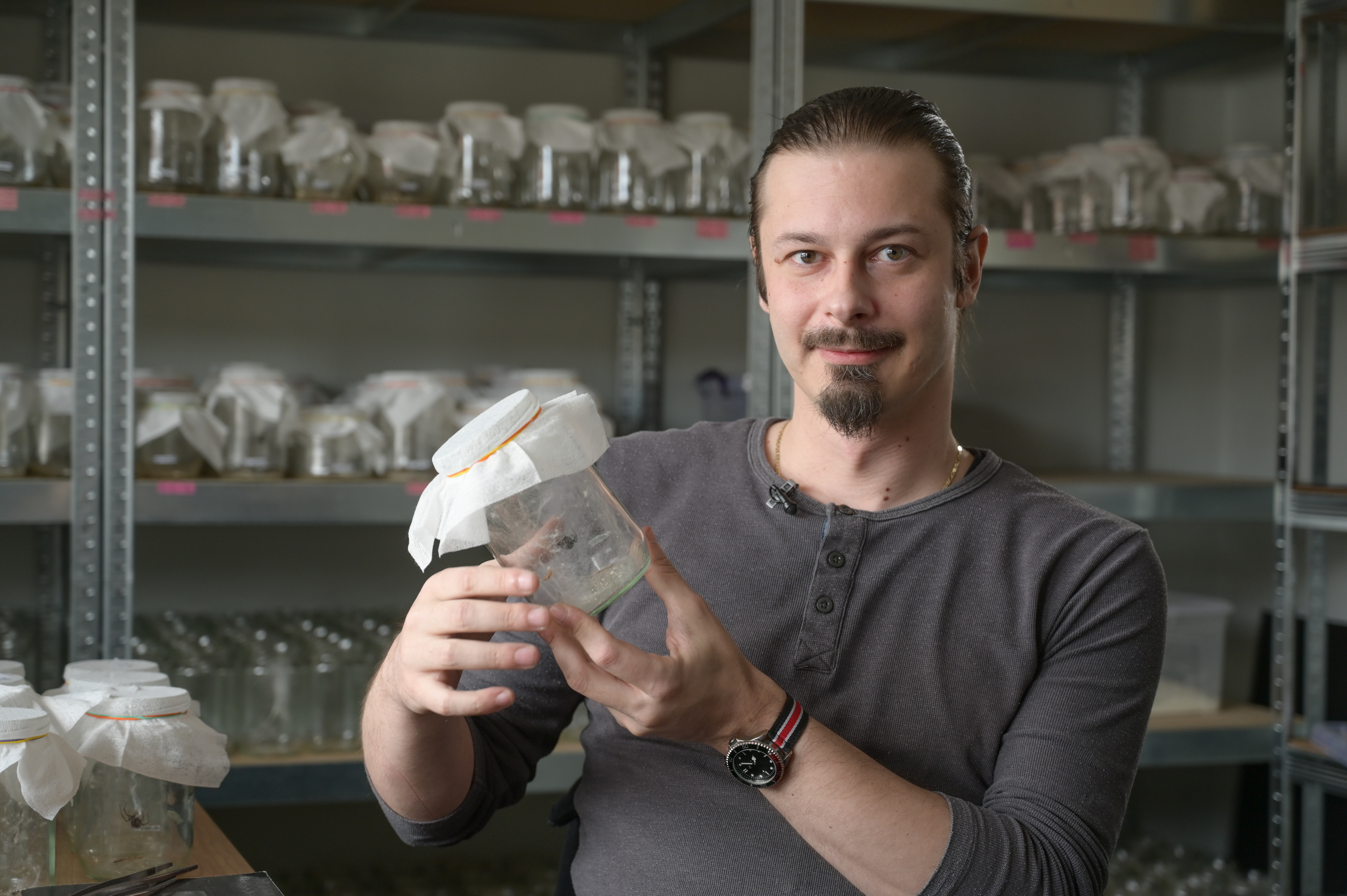 črna vdova, David Šajnovič, Latrotech Laboratories