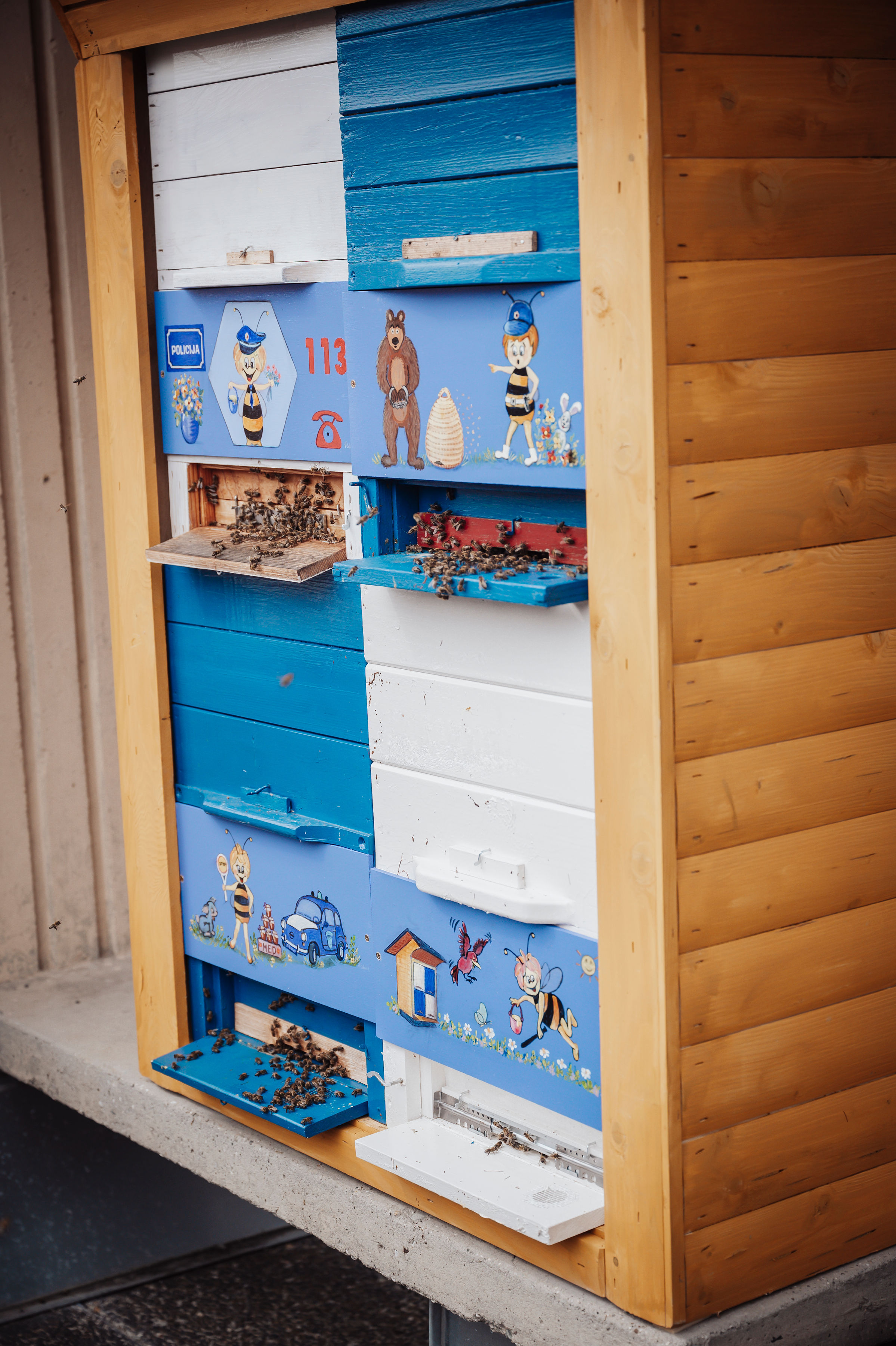 policija, čebele, PU Maribor