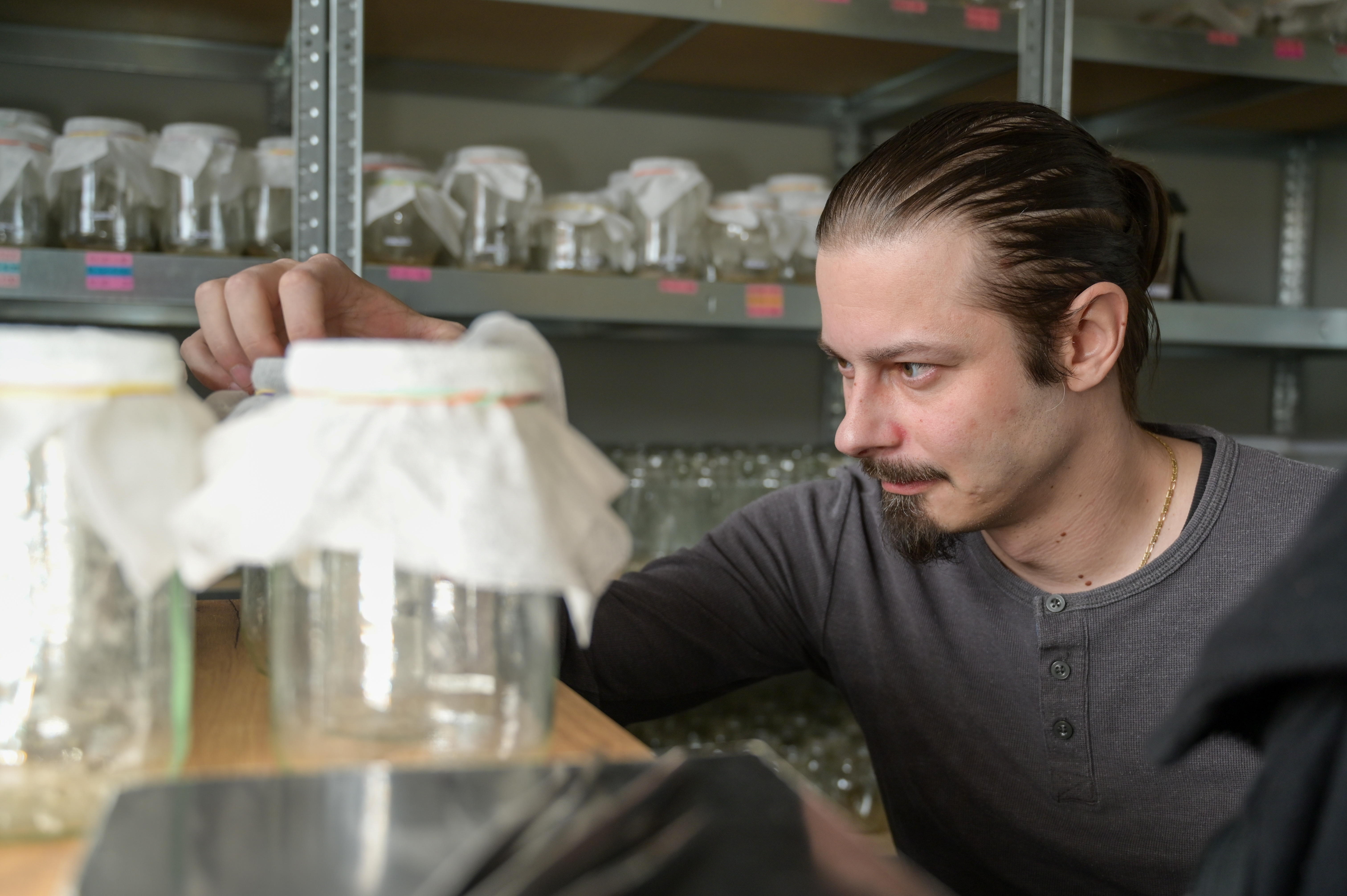 črna vdova, David Šajnovič, Latrotech Laboratories