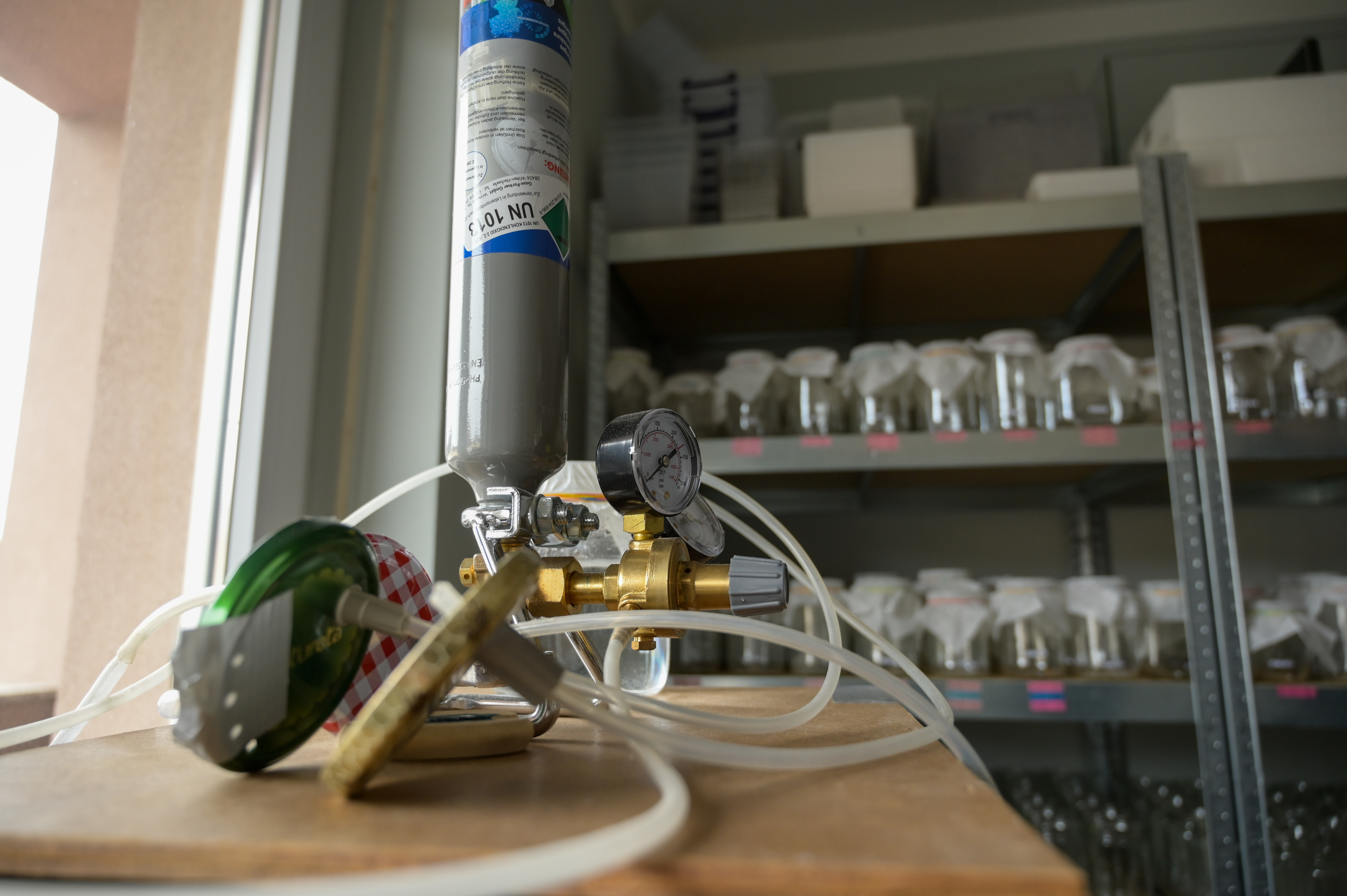 črna vdova, David Šajnovič, Latrotech Laboratories