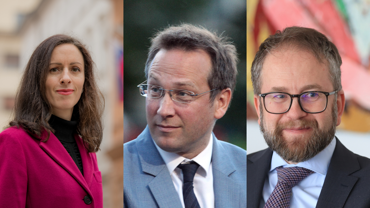 Kogovšek šalamon, Accetto, Jaklič