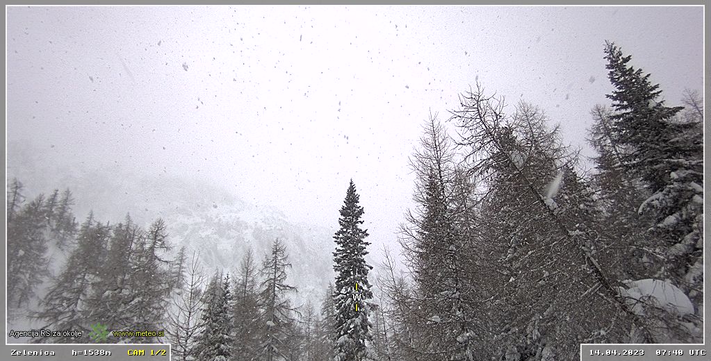 Zelenica (Vir: ARSO)