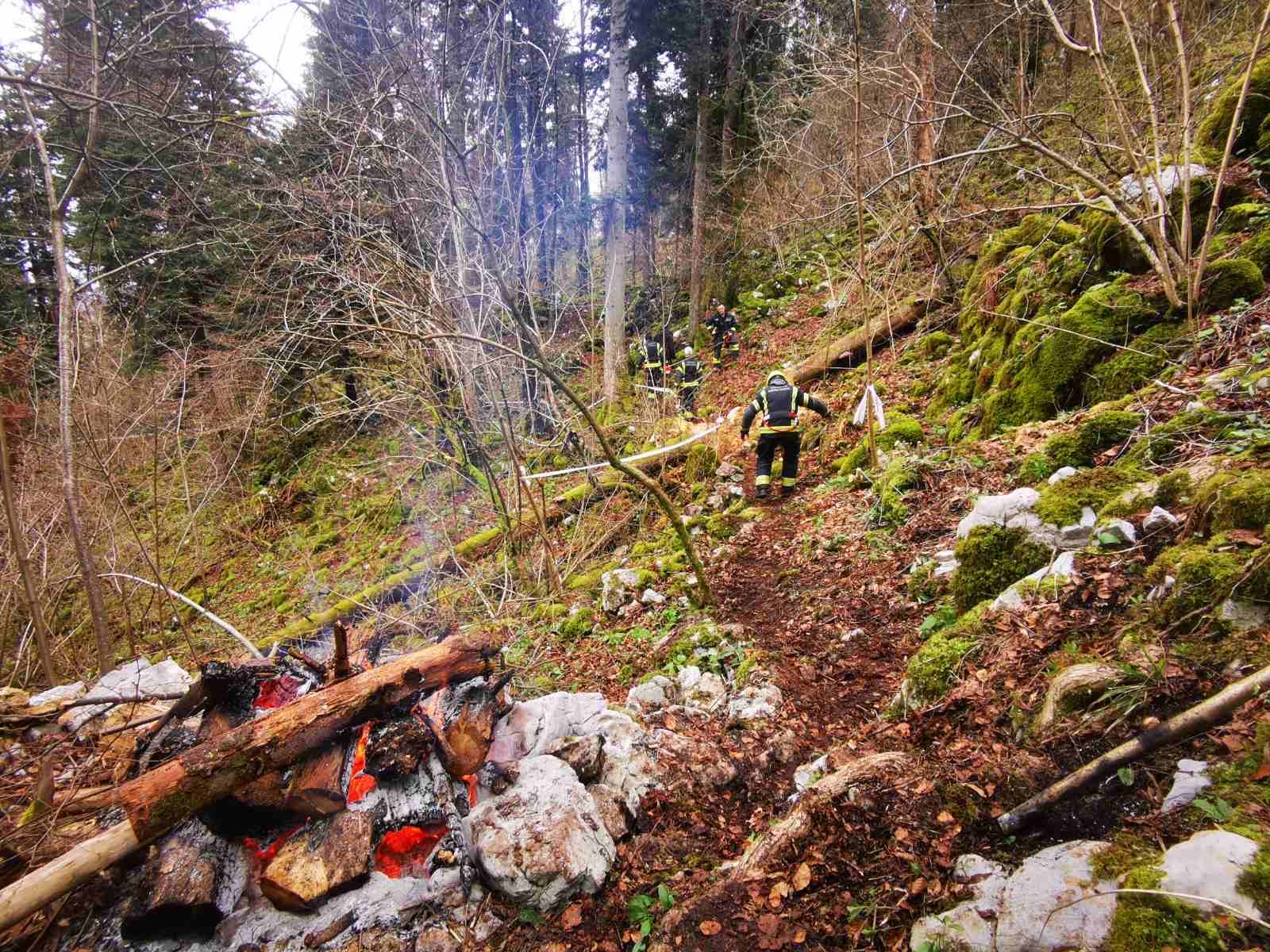 Mateja Mazgan Senegačnik