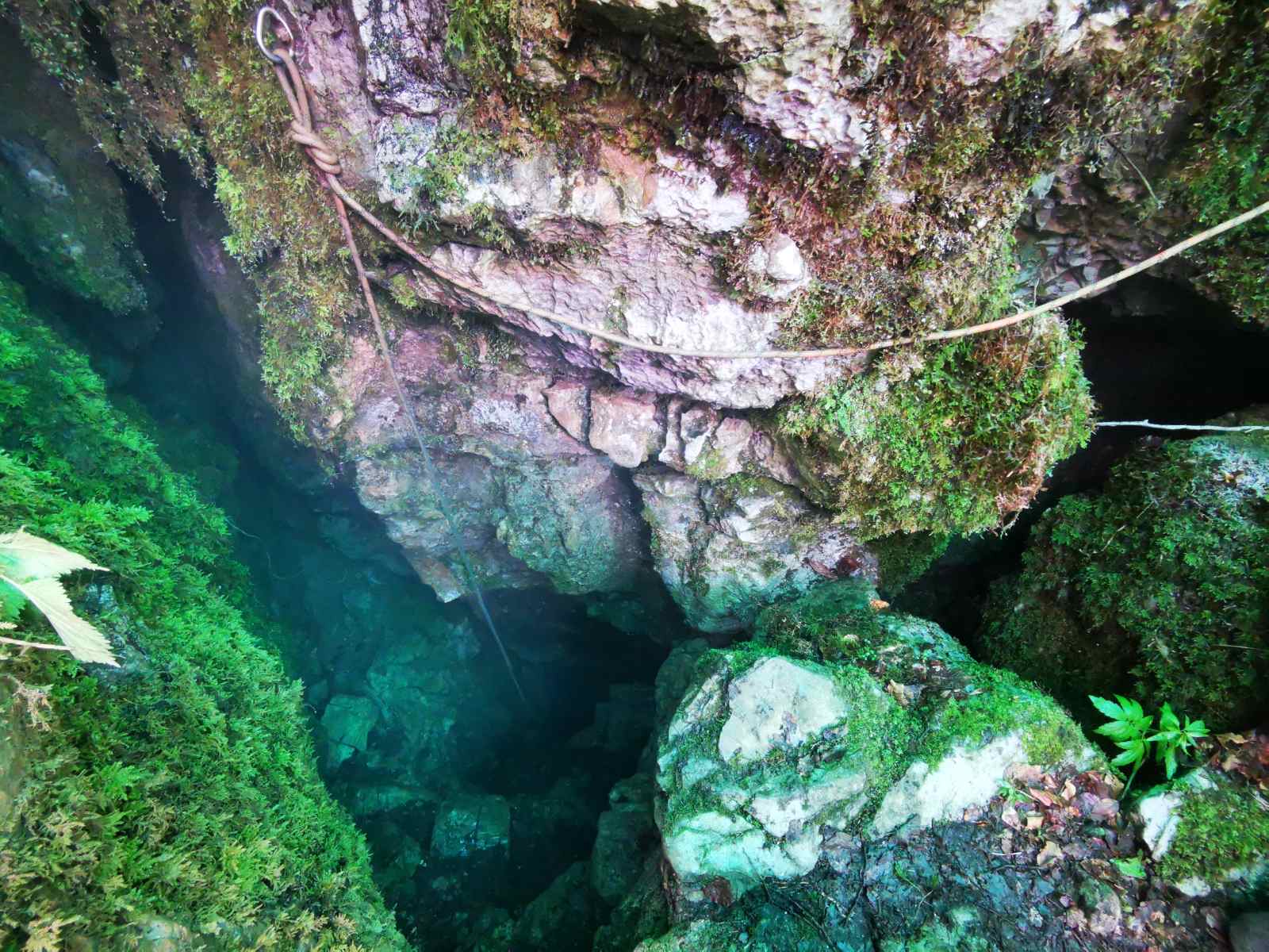 Mateja Mazgan Senegačnik