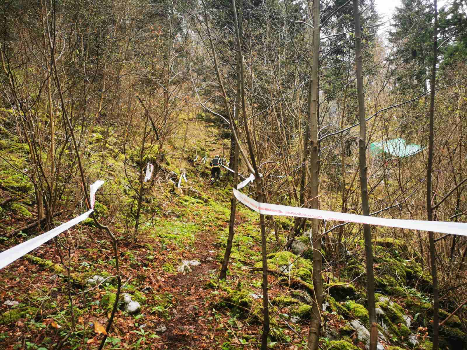 Mateja Mazgan Senegačnik