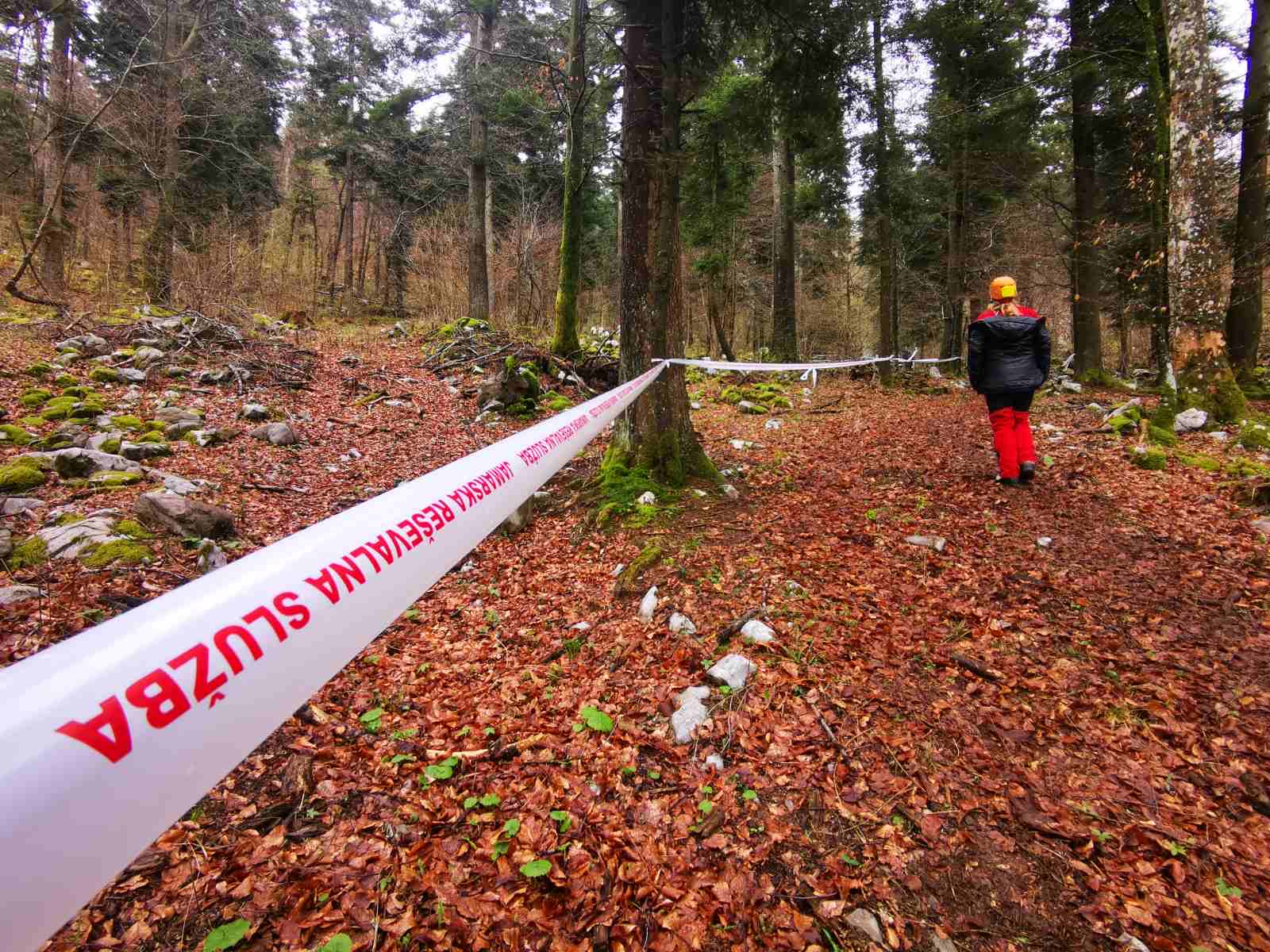 Mateja Mazgan Senegačnik