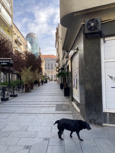 Prazne ulice Beograda